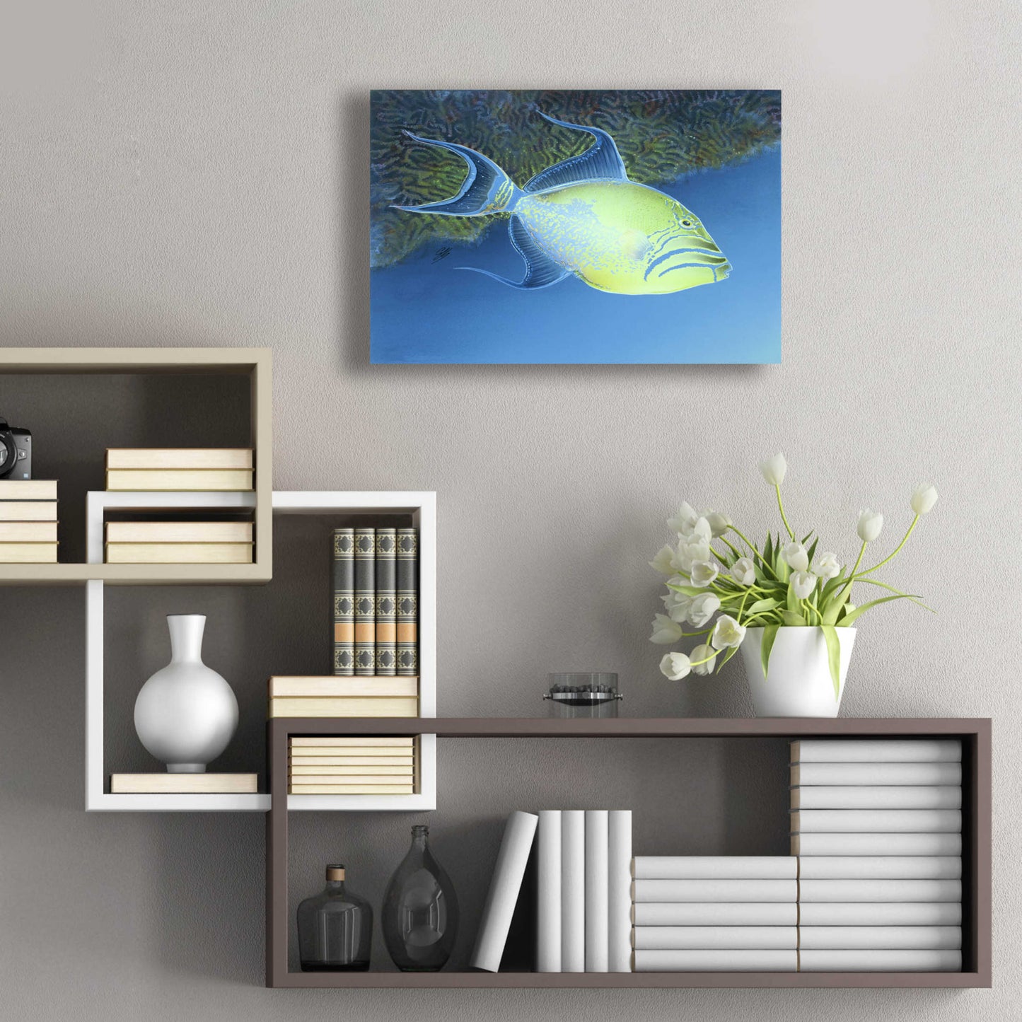 Epic Art 'Trigger Fish' by Durwood Coffey, Acrylic Glass Wall Art,24x16