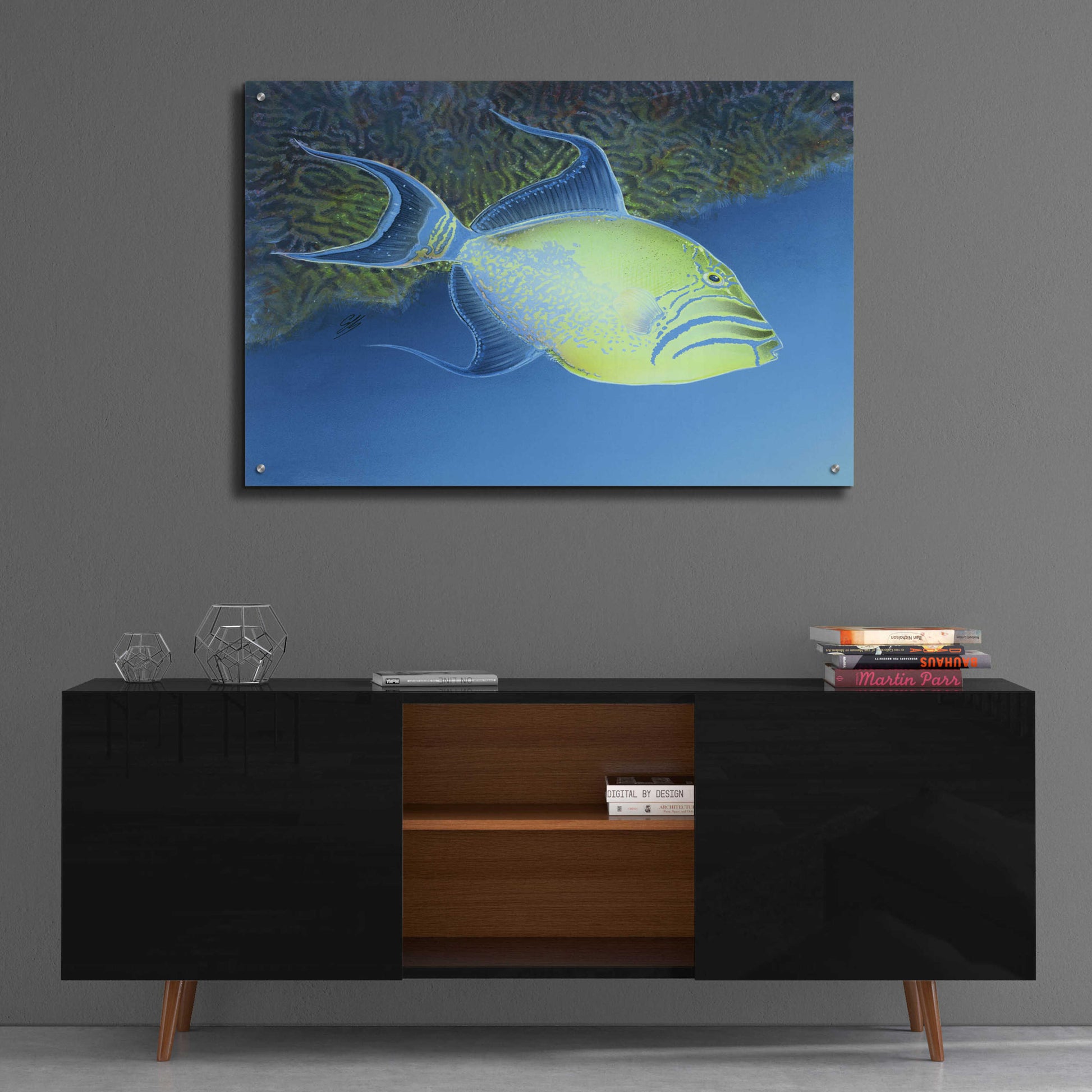 Epic Art 'Trigger Fish' by Durwood Coffey, Acrylic Glass Wall Art,36x24