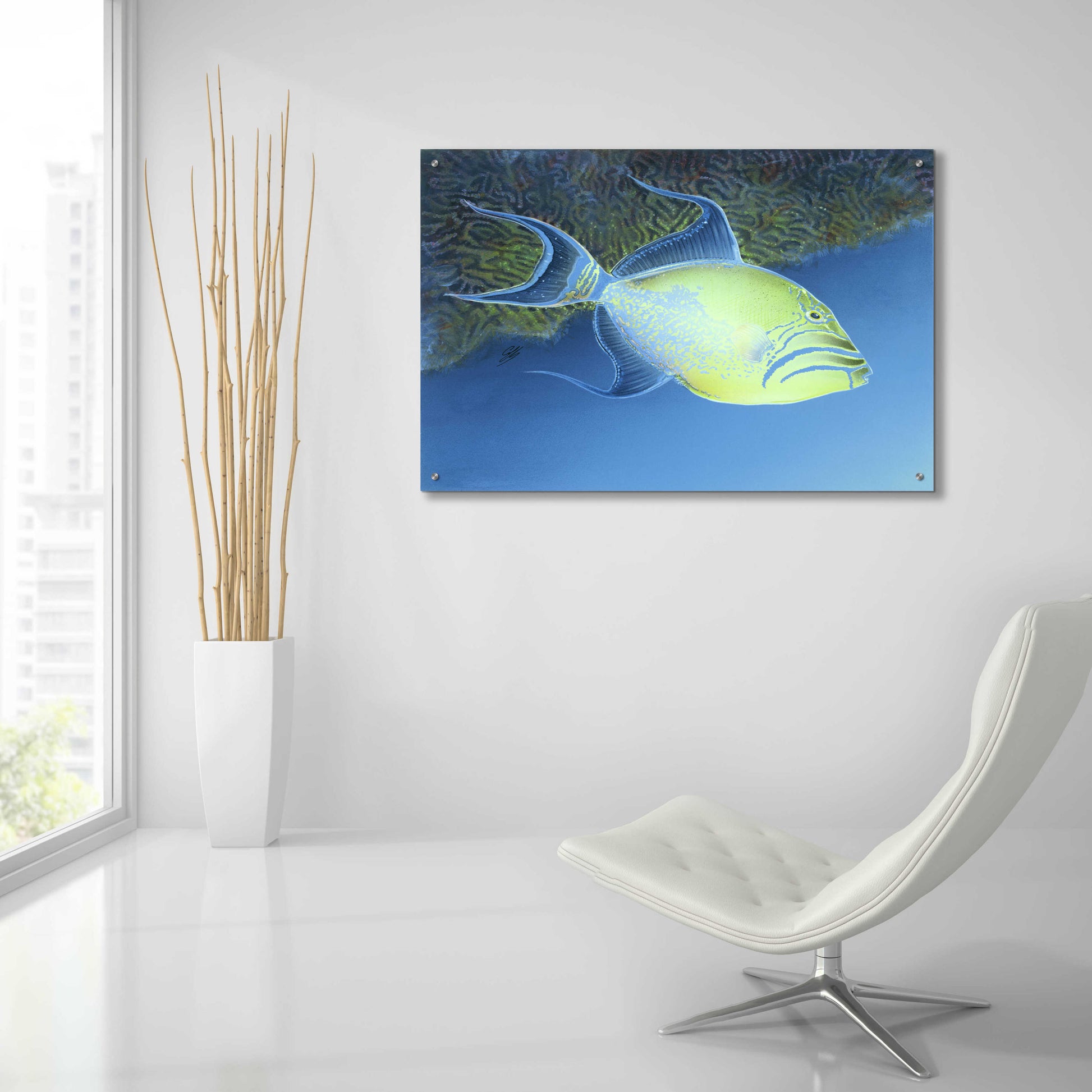 Epic Art 'Trigger Fish' by Durwood Coffey, Acrylic Glass Wall Art,36x24