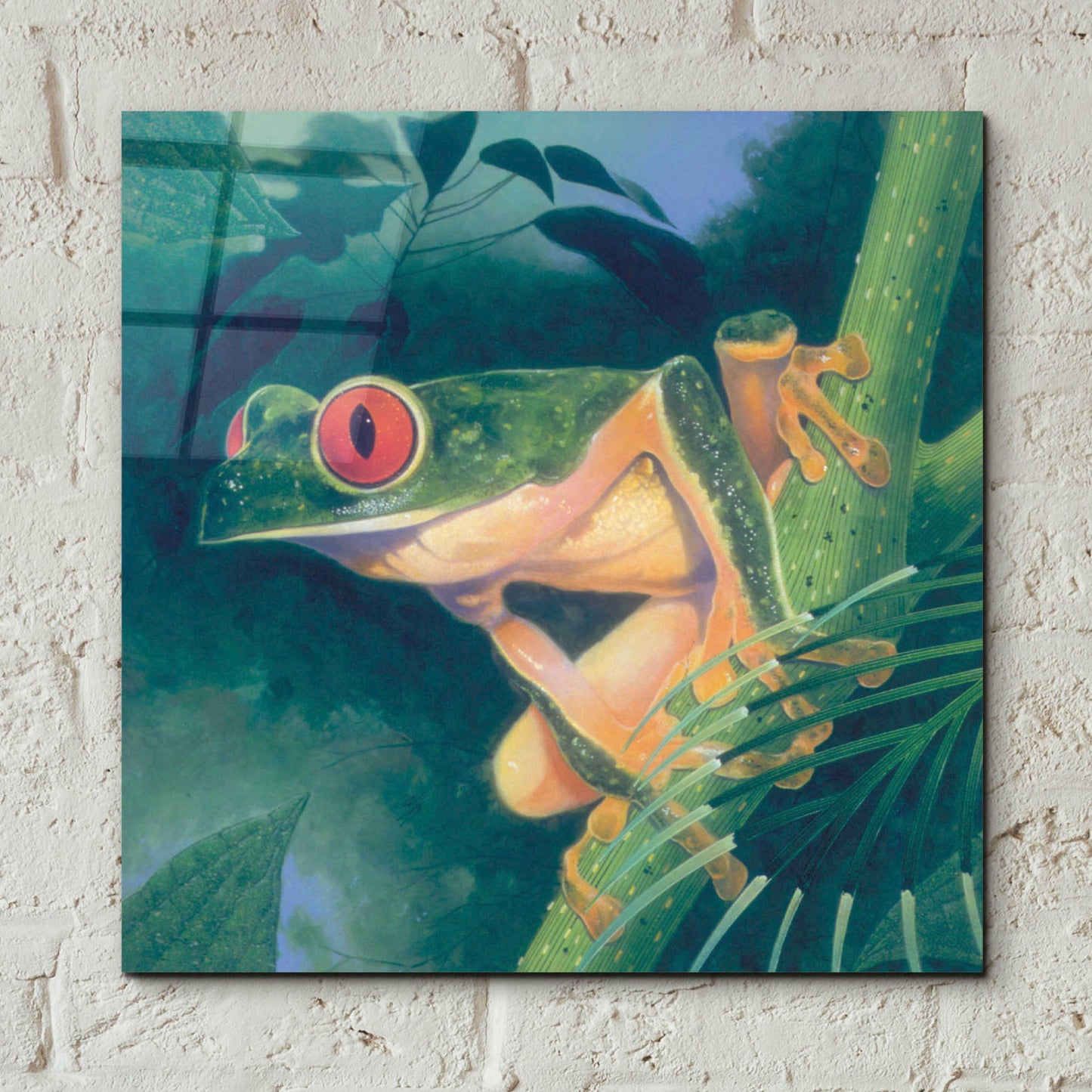 Epic Art 'Tree Frog' by Durwood Coffey, Acrylic Glass Wall Art,12x12