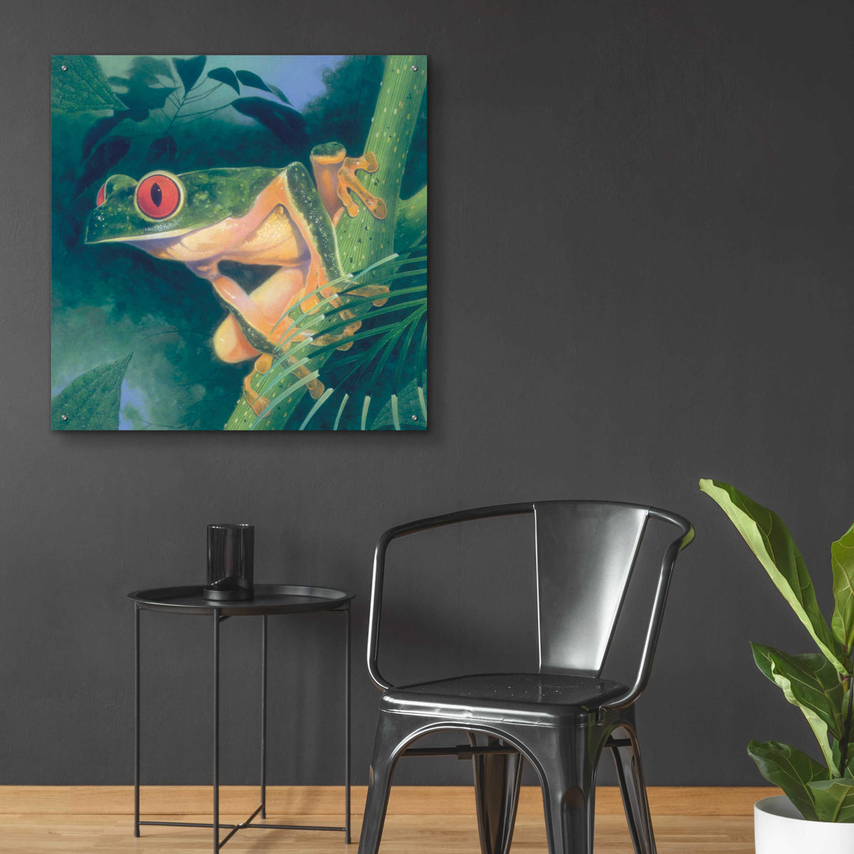 Epic Art 'Tree Frog' by Durwood Coffey, Acrylic Glass Wall Art,36x36