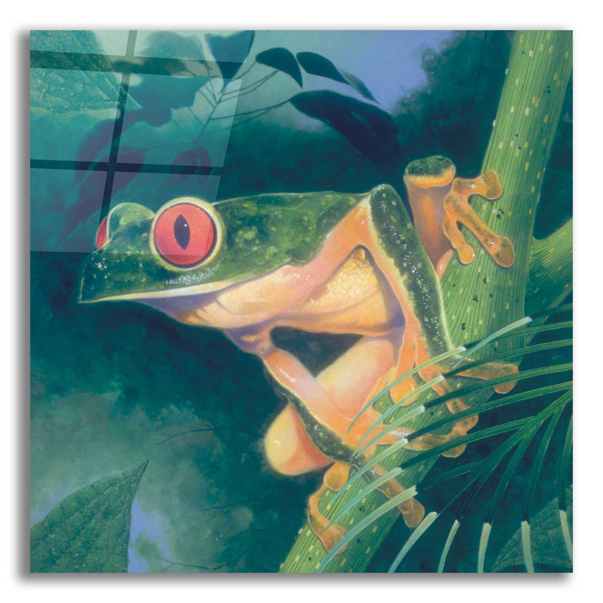 Epic Art 'Tree Frog' by Durwood Coffey, Acrylic Glass Wall Art