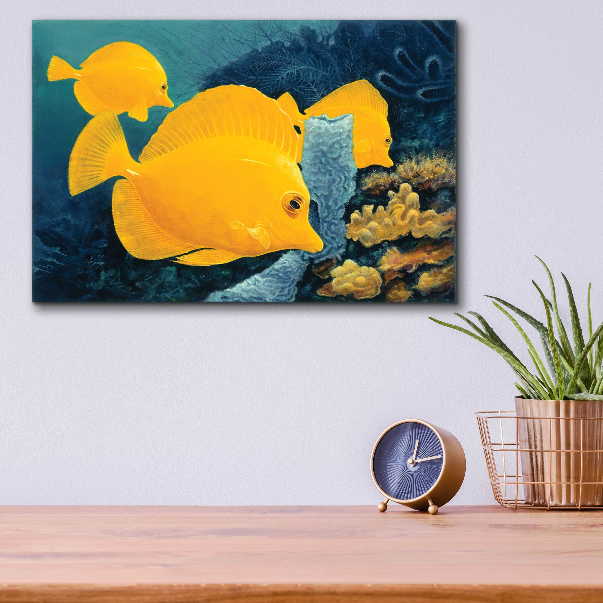 Epic Art 'Yellow Tangs' by Durwood Coffey, Acrylic Glass Wall Art,16x12