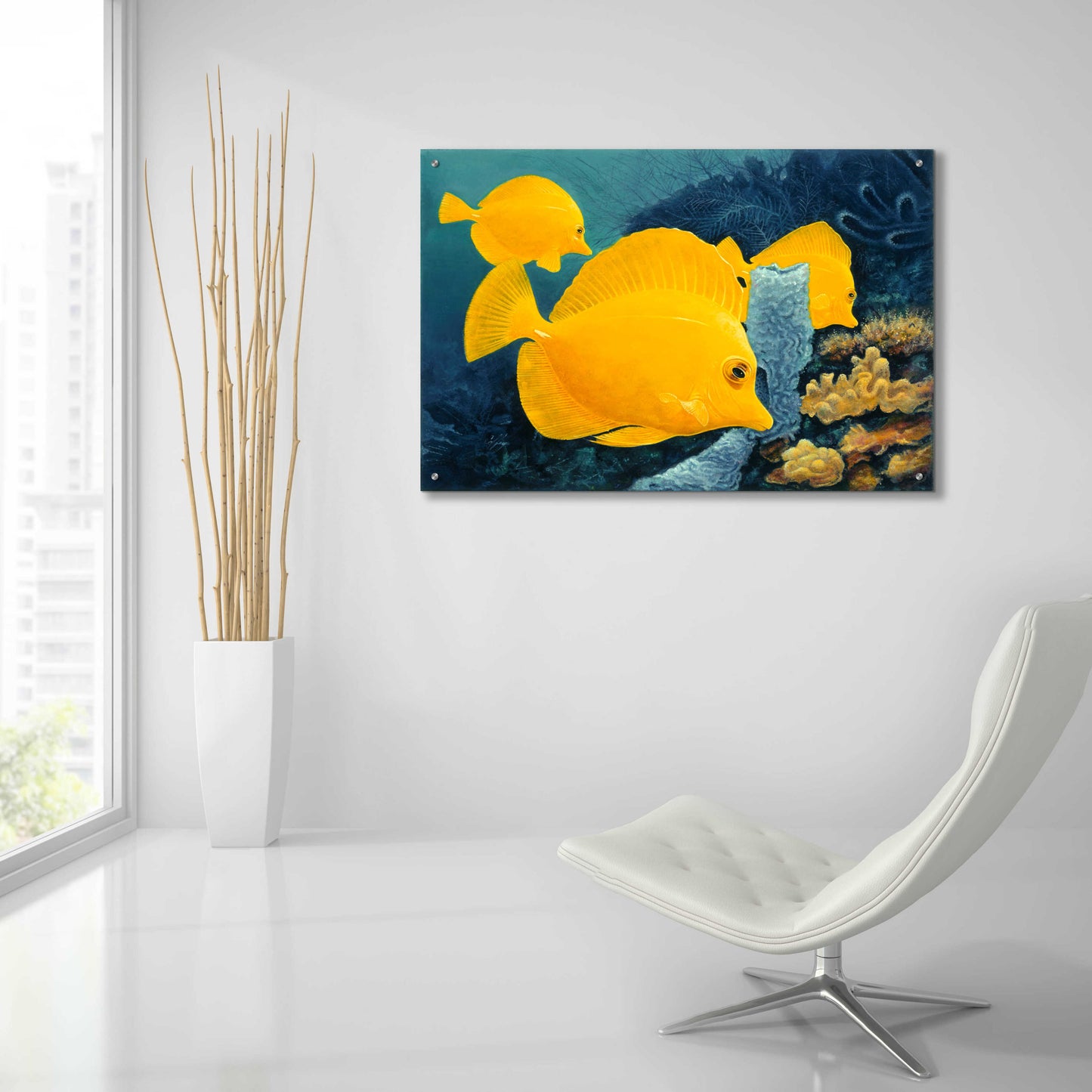 Epic Art 'Yellow Tangs' by Durwood Coffey, Acrylic Glass Wall Art,36x24