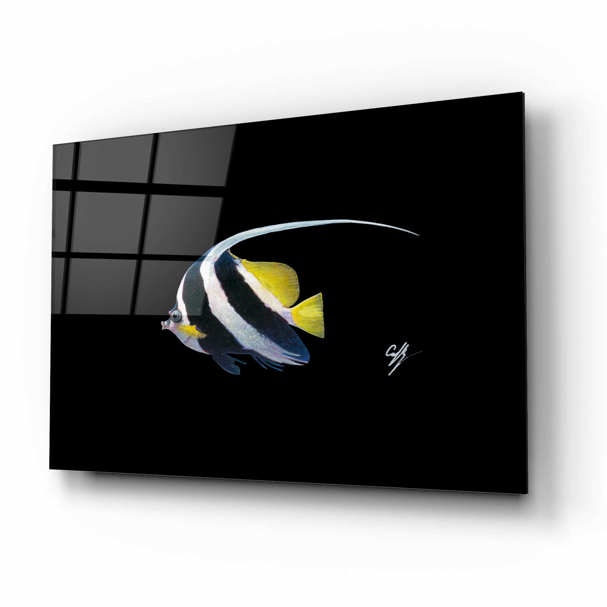 Epic Art 'Bannerfish' by Durwood Coffey, Acrylic Glass Wall Art,16x12