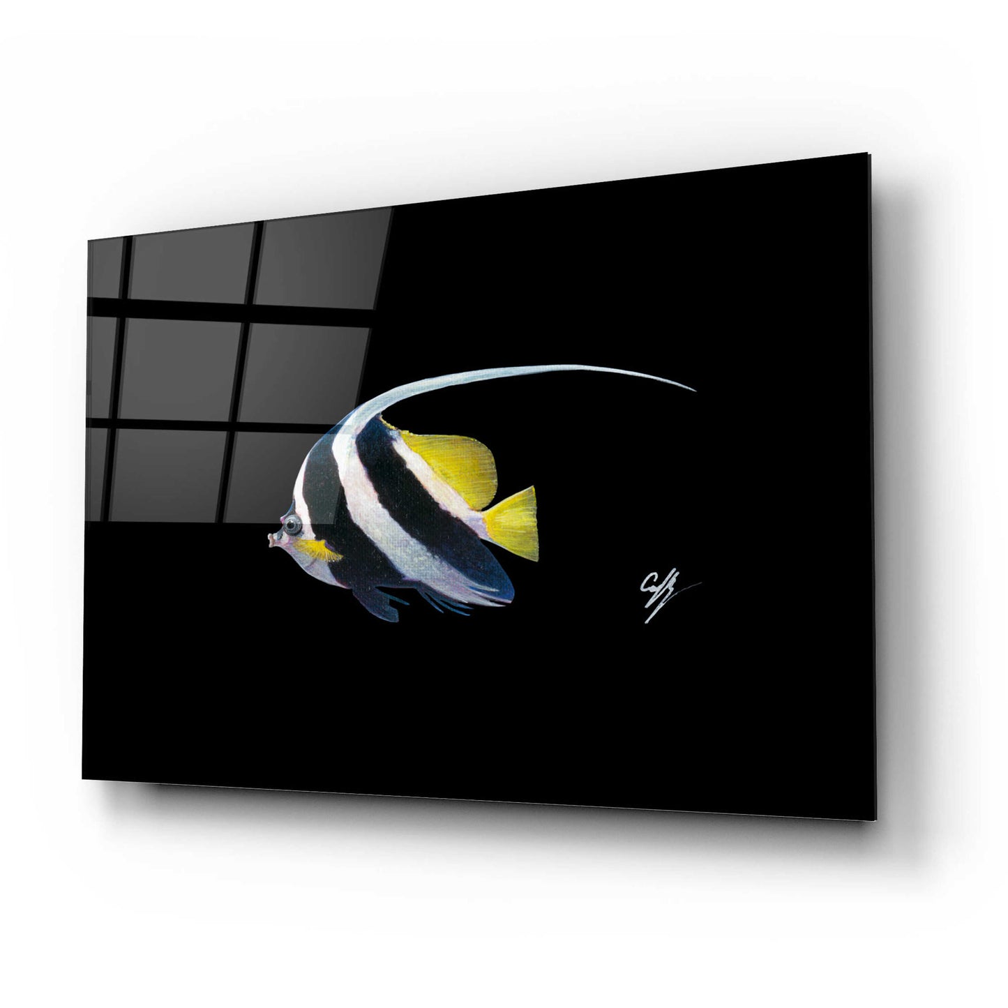 Epic Art 'Bannerfish' by Durwood Coffey, Acrylic Glass Wall Art,24x16