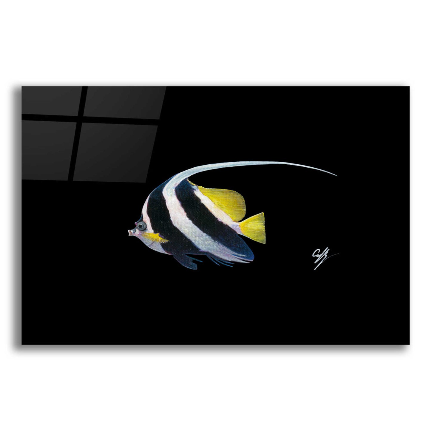 Epic Art 'Bannerfish' by Durwood Coffey, Acrylic Glass Wall Art,24x16