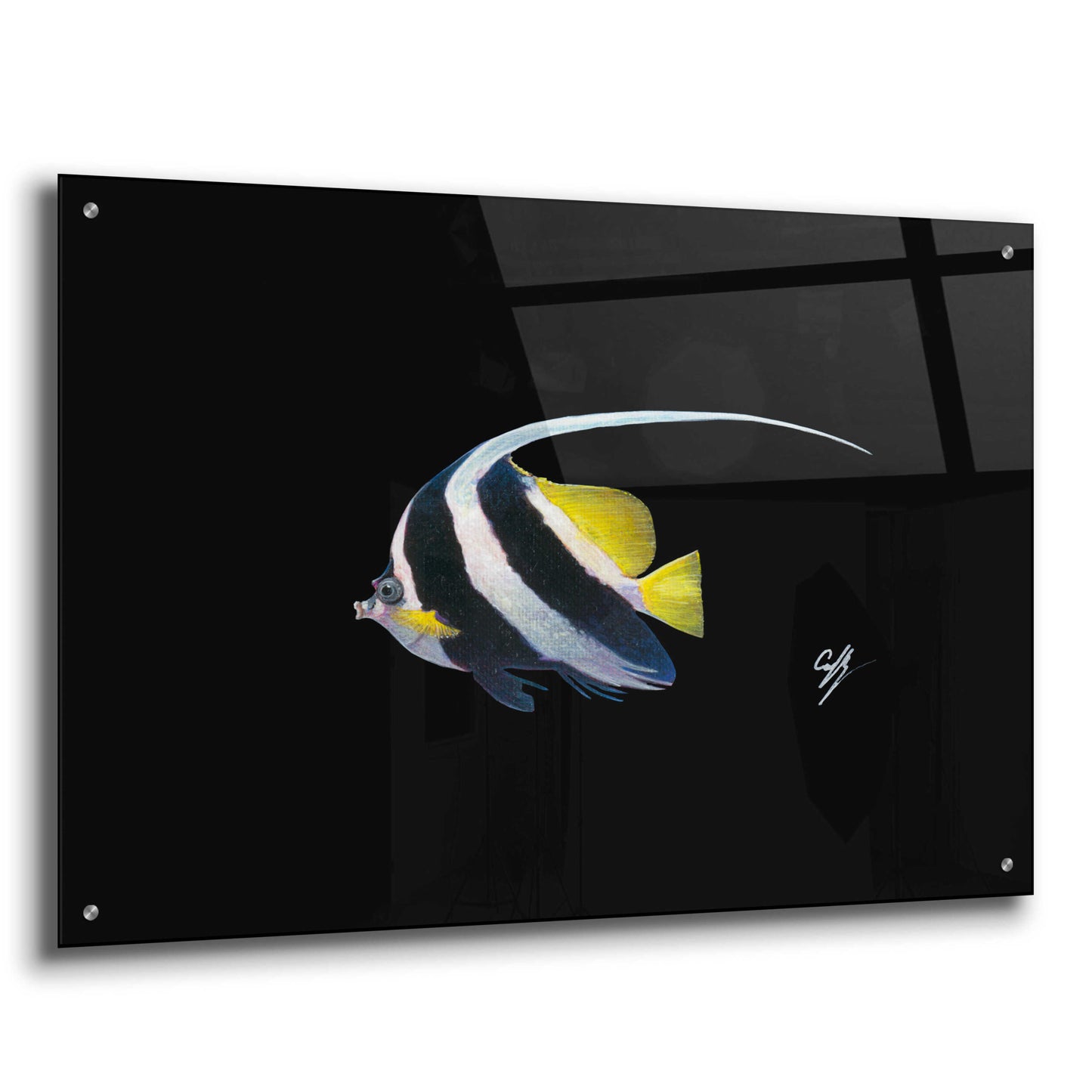 Epic Art 'Bannerfish' by Durwood Coffey, Acrylic Glass Wall Art,36x24