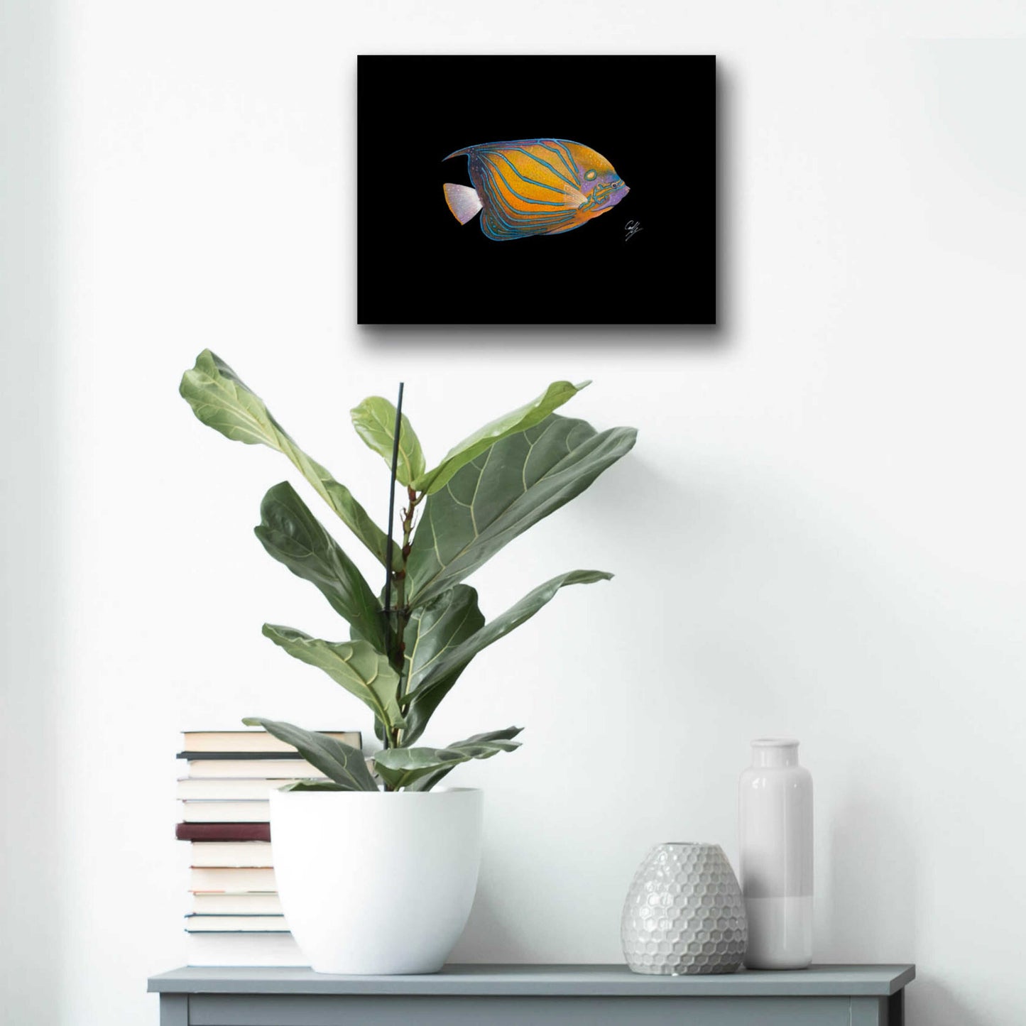 Epic Art 'Blue Ring Angelfish' by Durwood Coffey, Acrylic Glass Wall Art,16x12