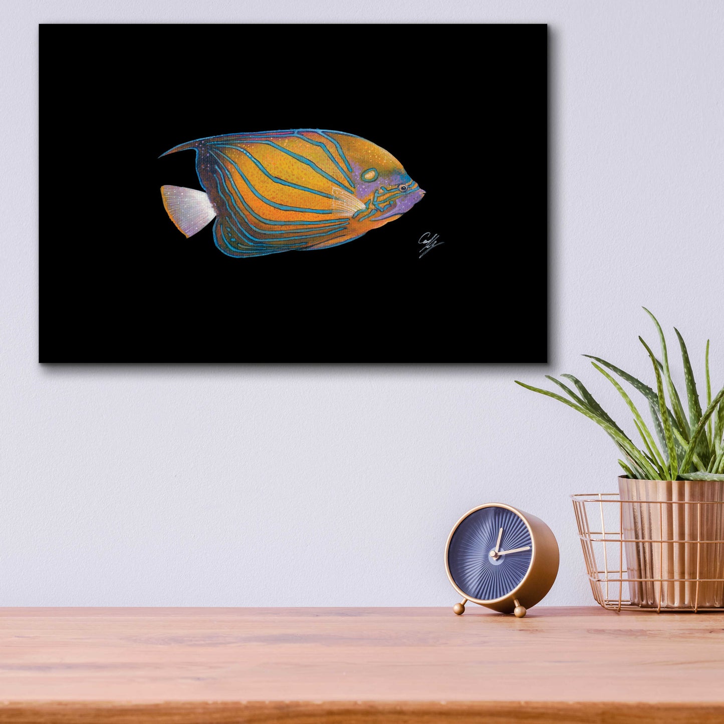 Epic Art 'Blue Ring Angelfish' by Durwood Coffey, Acrylic Glass Wall Art,16x12