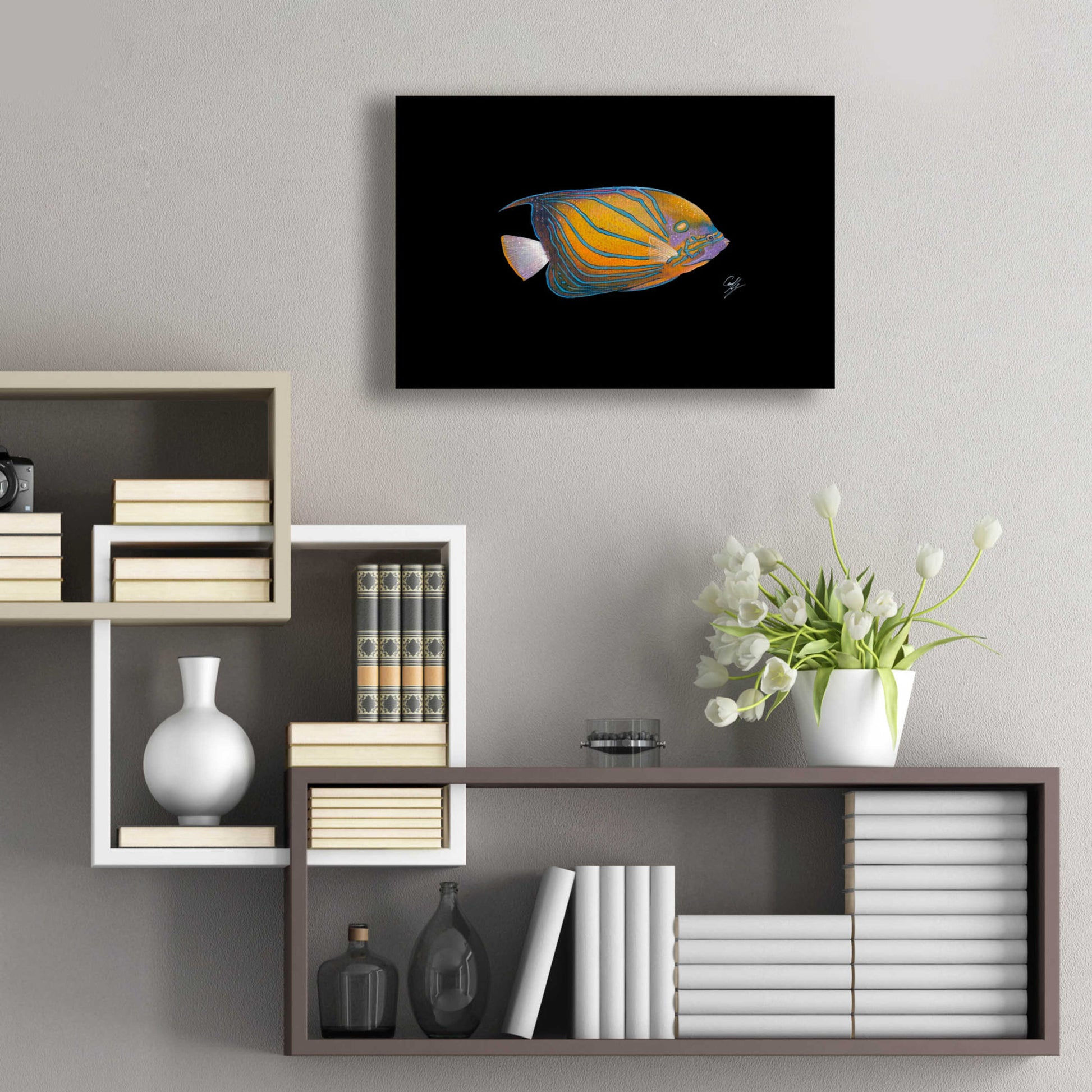 Epic Art 'Blue Ring Angelfish' by Durwood Coffey, Acrylic Glass Wall Art,24x16