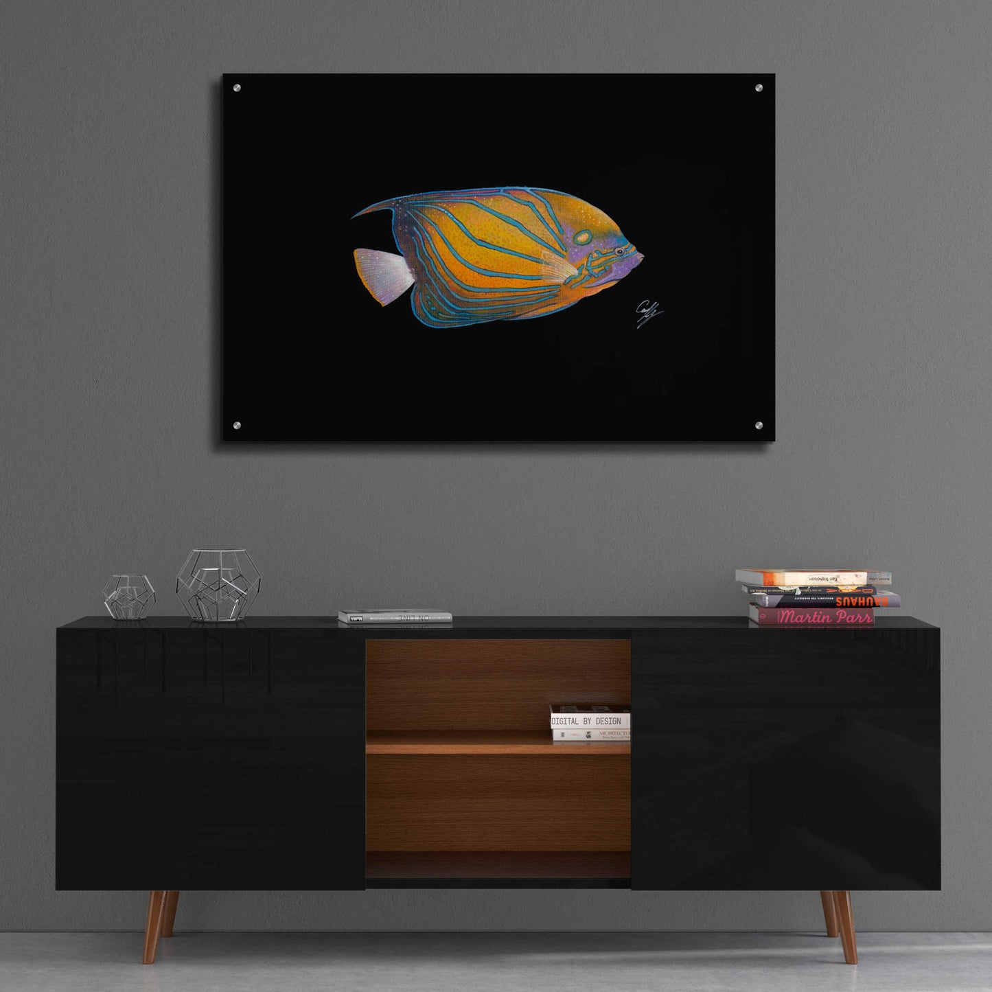 Epic Art 'Blue Ring Angelfish' by Durwood Coffey, Acrylic Glass Wall Art,36x24