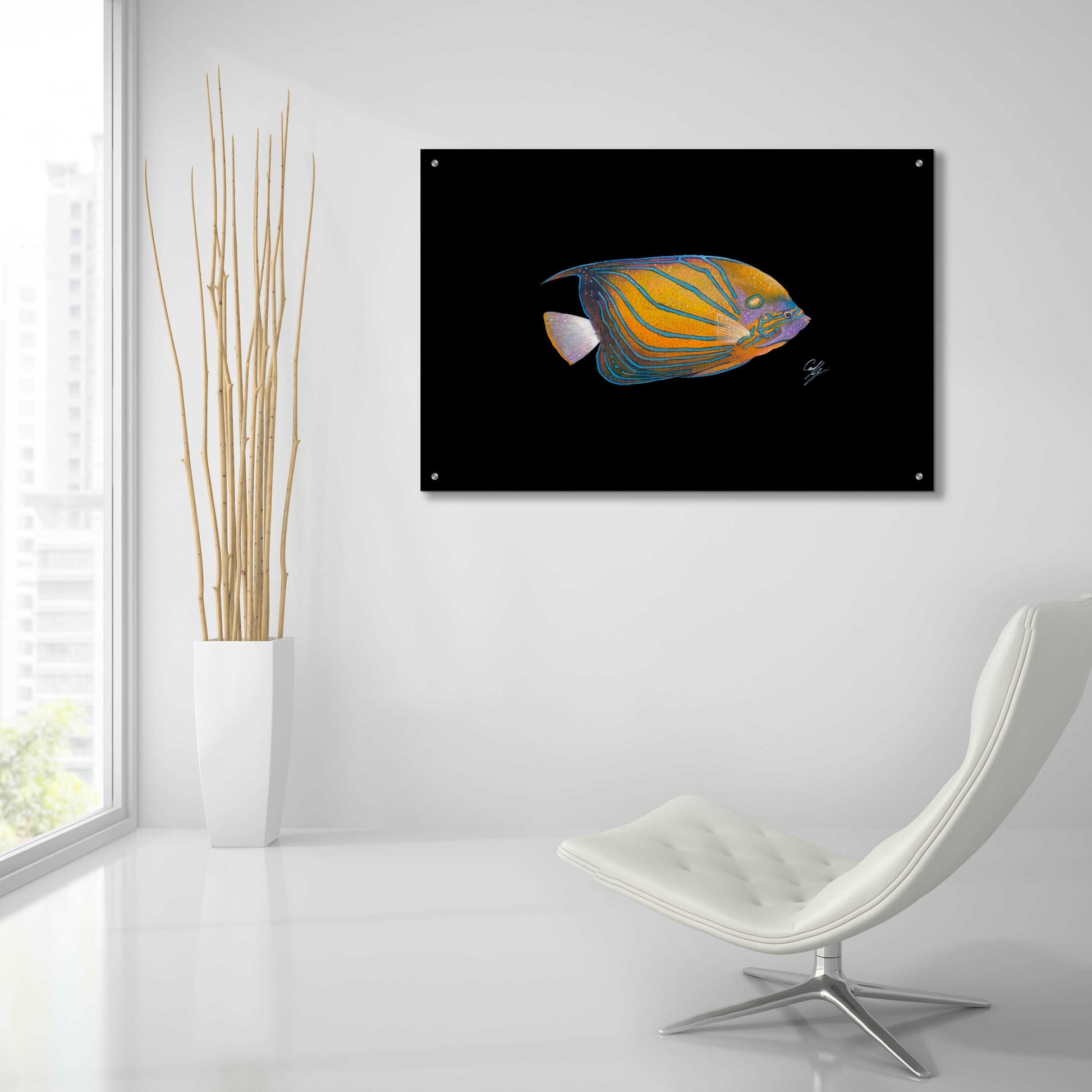 Epic Art 'Blue Ring Angelfish' by Durwood Coffey, Acrylic Glass Wall Art,36x24