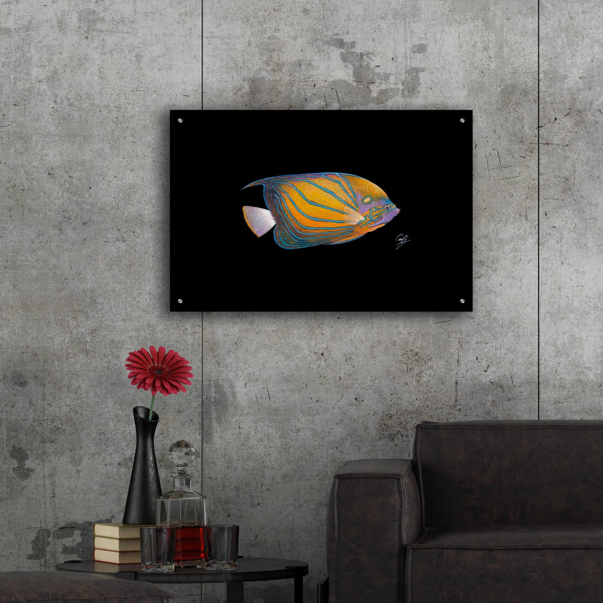 Epic Art 'Blue Ring Angelfish' by Durwood Coffey, Acrylic Glass Wall Art,36x24