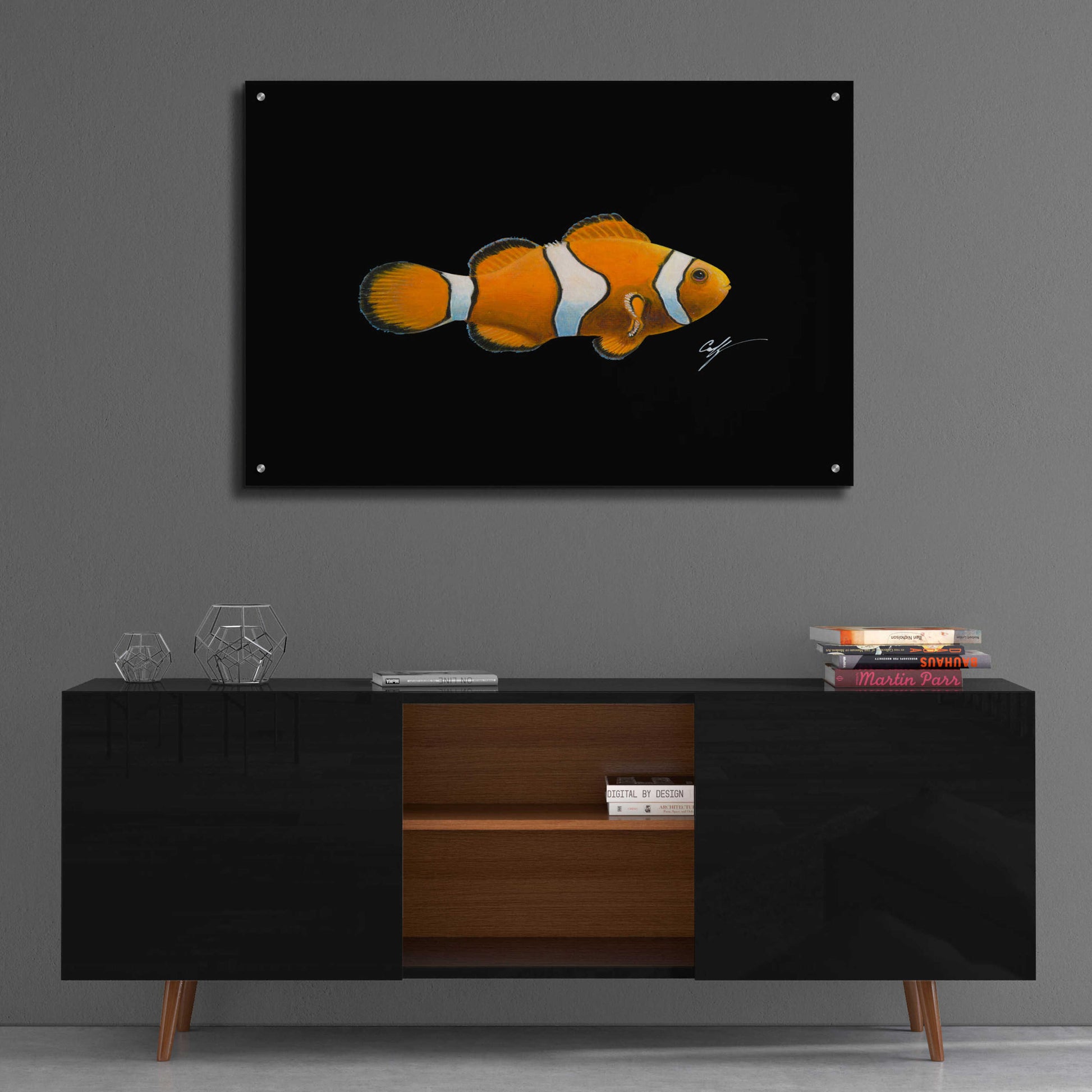 Epic Art 'Clown Fish on Black' by Durwood Coffey, Acrylic Glass Wall Art,36x24