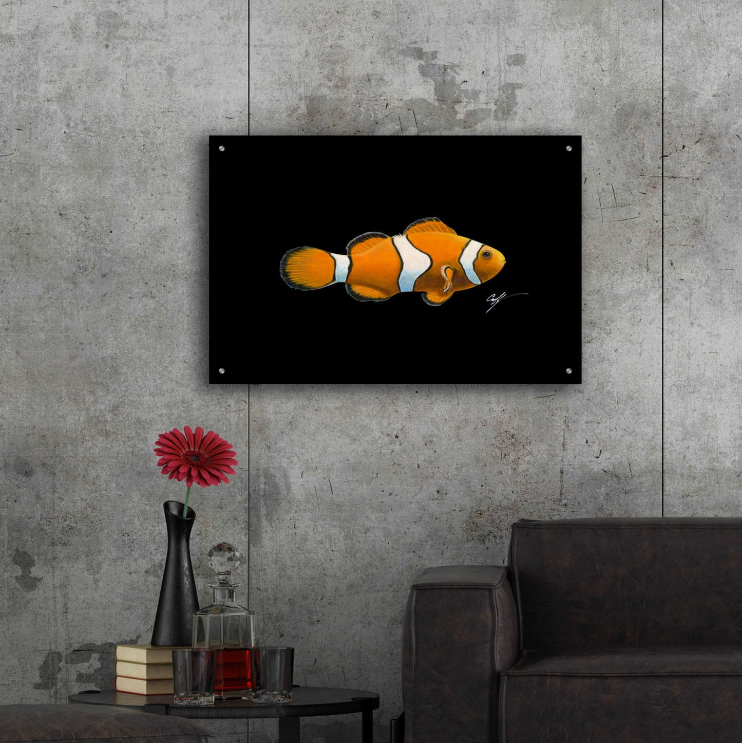 Epic Art 'Clown Fish on Black' by Durwood Coffey, Acrylic Glass Wall Art,36x24