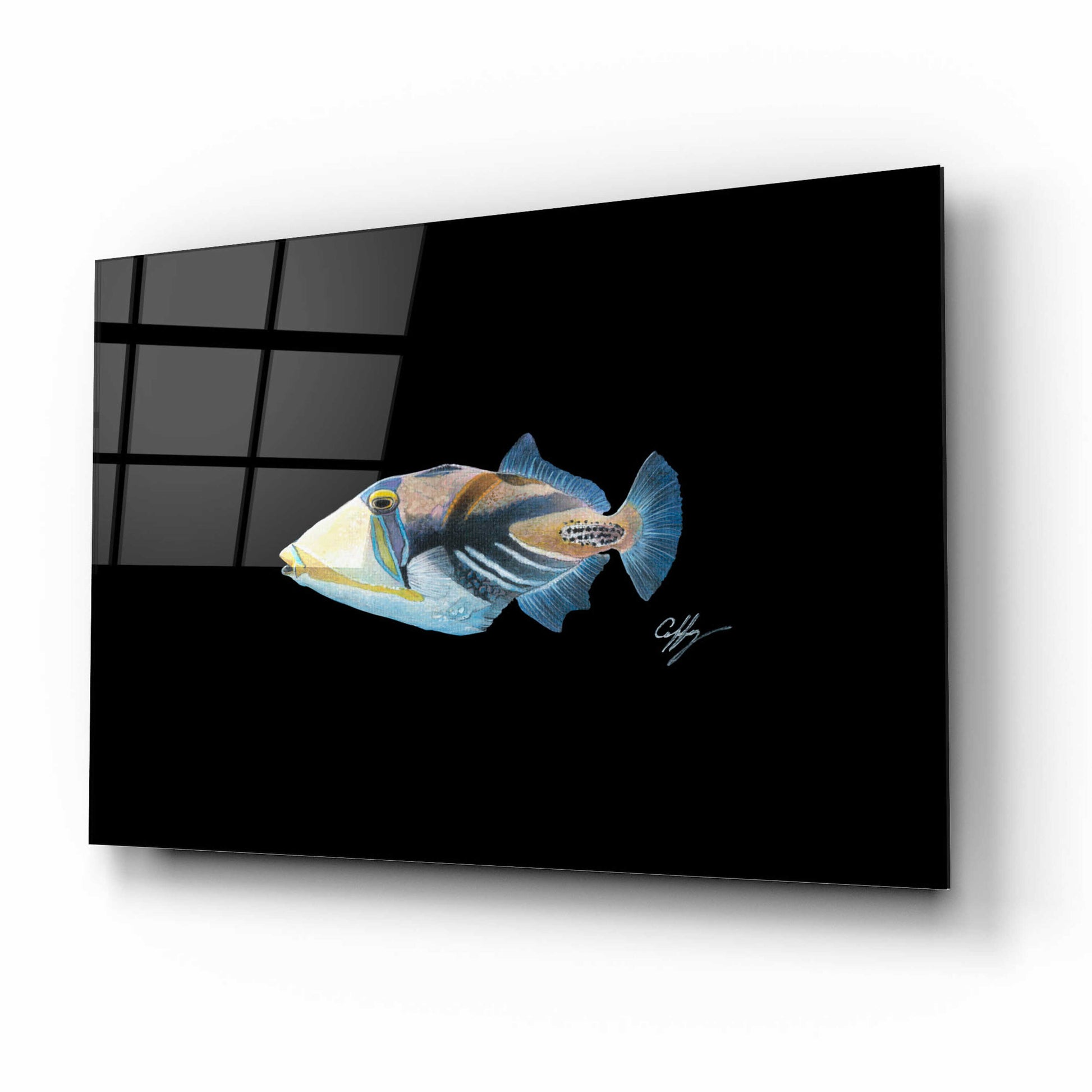 Epic Art 'Picasso Trigger' by Durwood Coffey, Acrylic Glass Wall Art,16x12