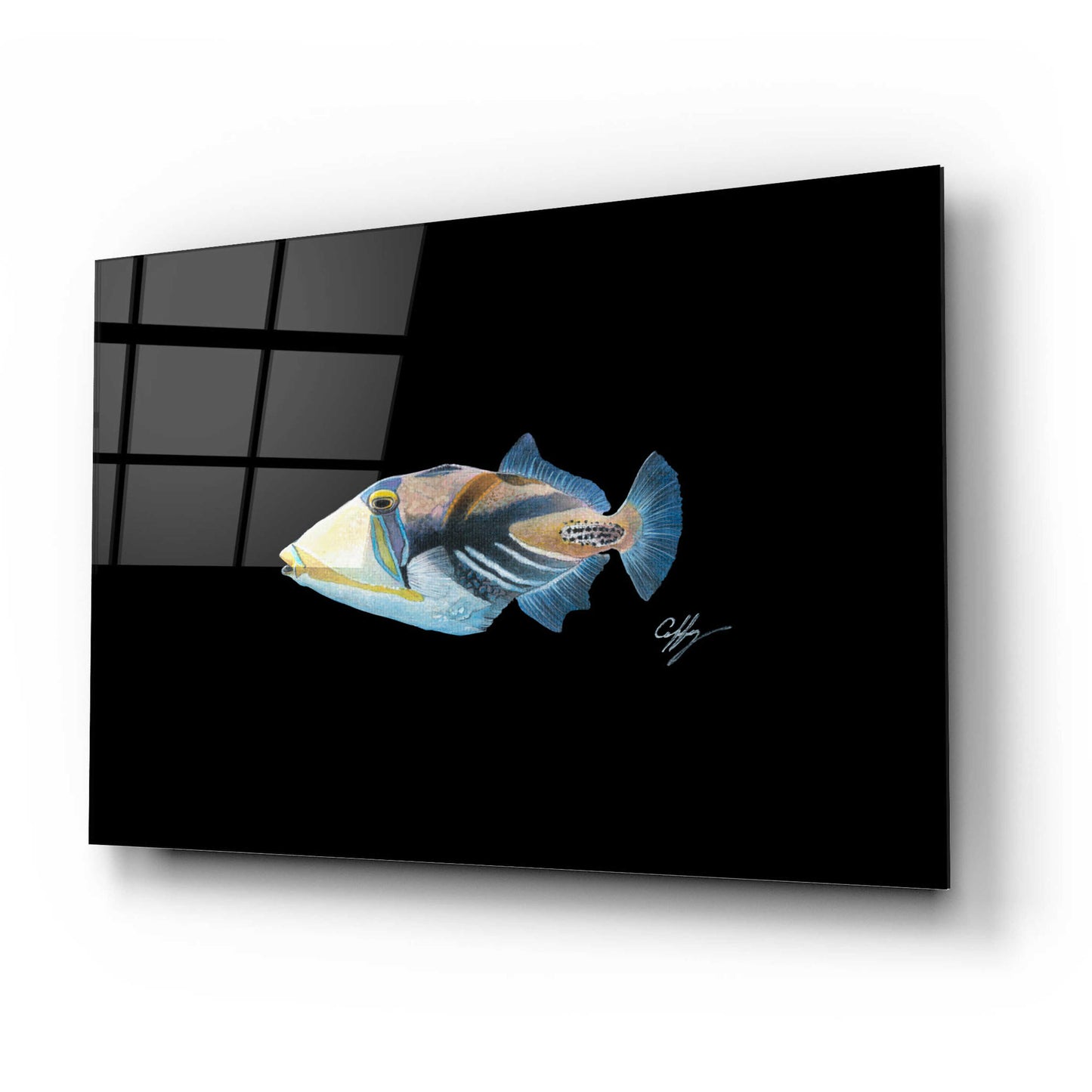 Epic Art 'Picasso Trigger' by Durwood Coffey, Acrylic Glass Wall Art,24x16