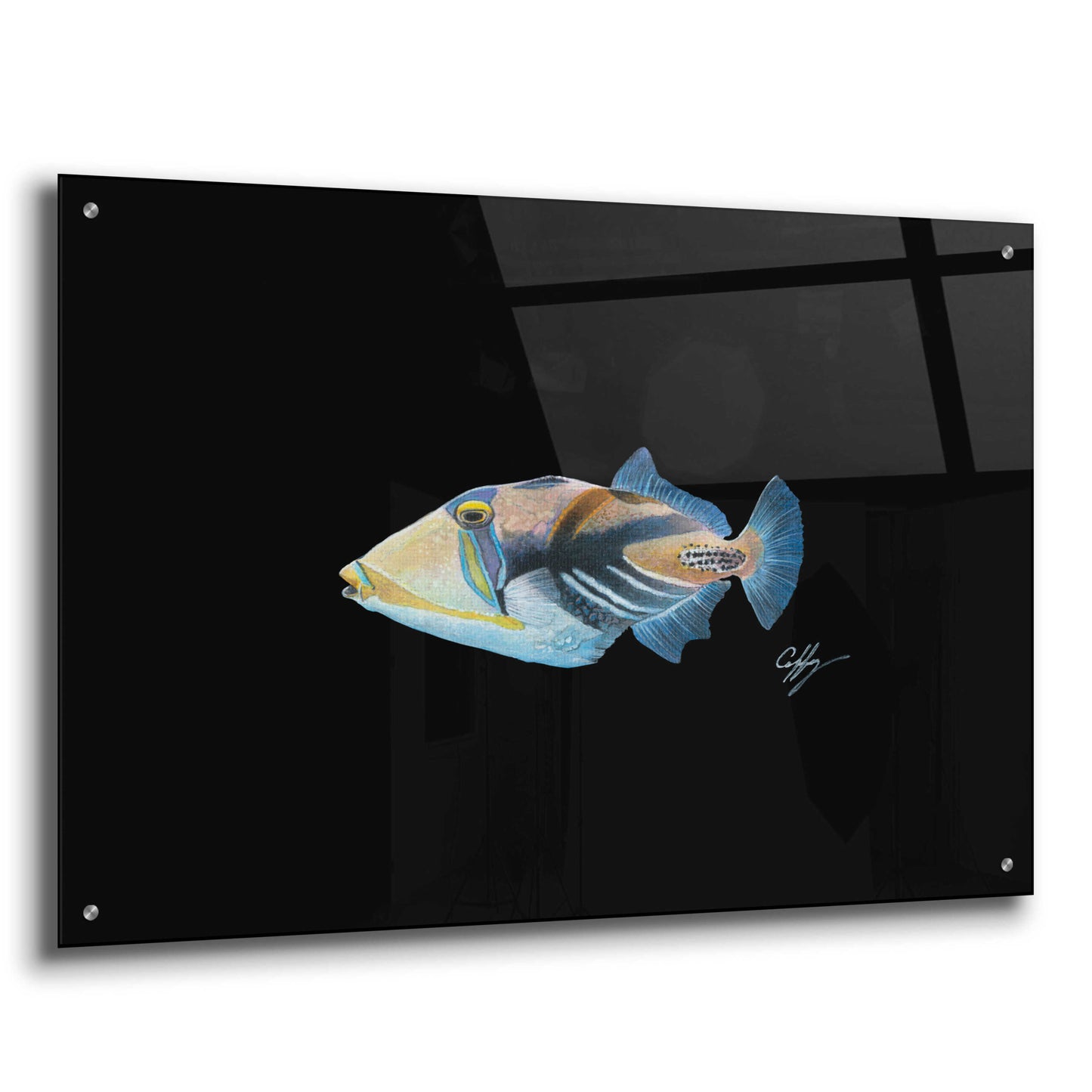 Epic Art 'Picasso Trigger' by Durwood Coffey, Acrylic Glass Wall Art,36x24