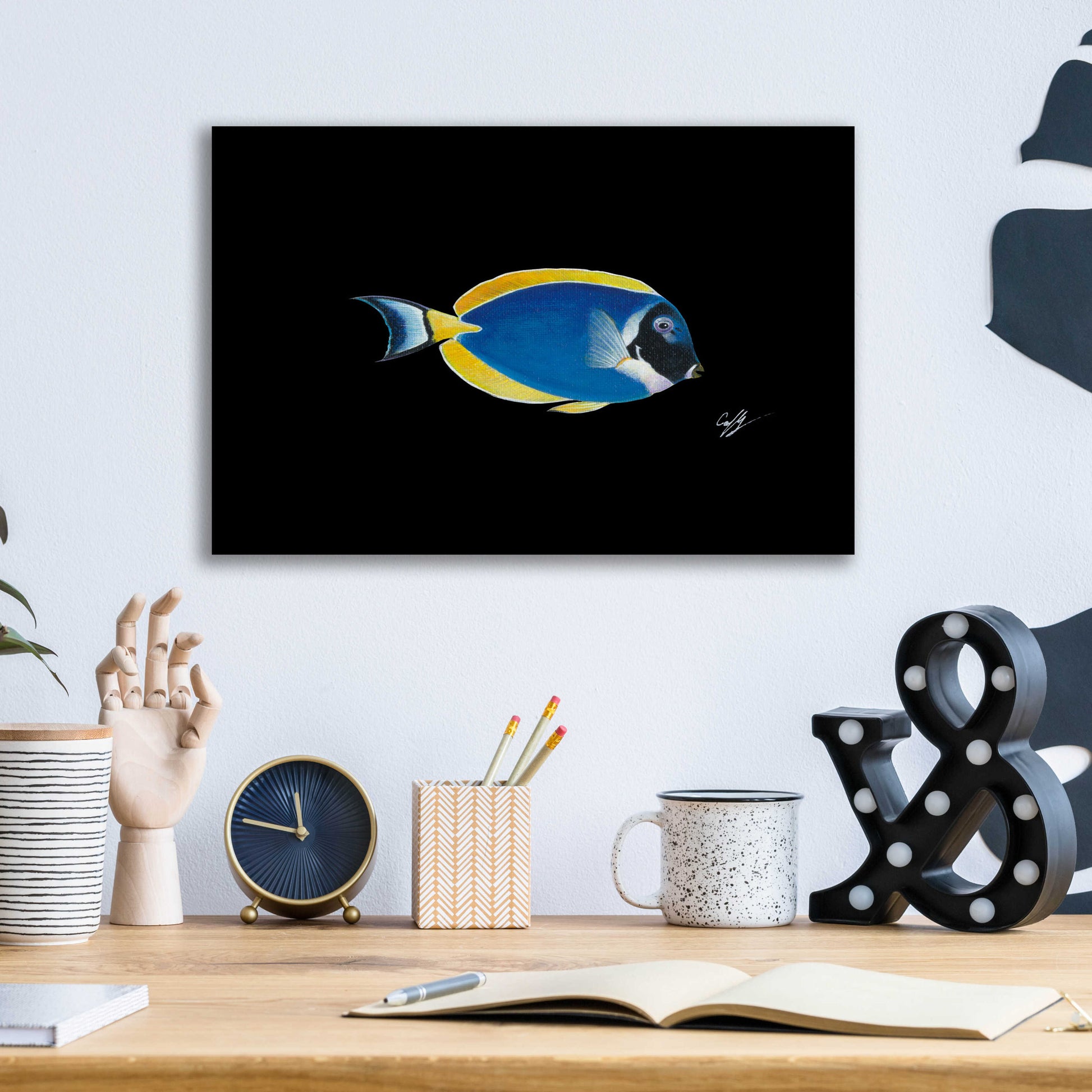 Epic Art 'Powder Blue Tang on Black' by Durwood Coffey, Acrylic Glass Wall Art,16x12