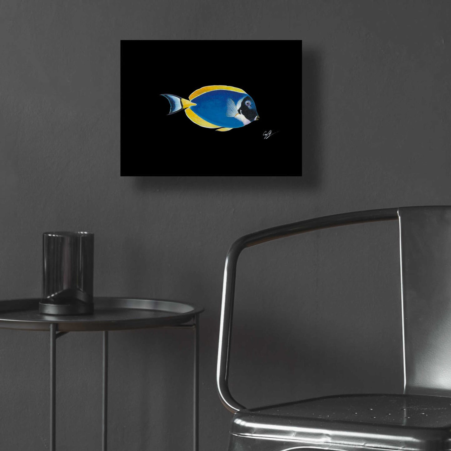 Epic Art 'Powder Blue Tang on Black' by Durwood Coffey, Acrylic Glass Wall Art,16x12