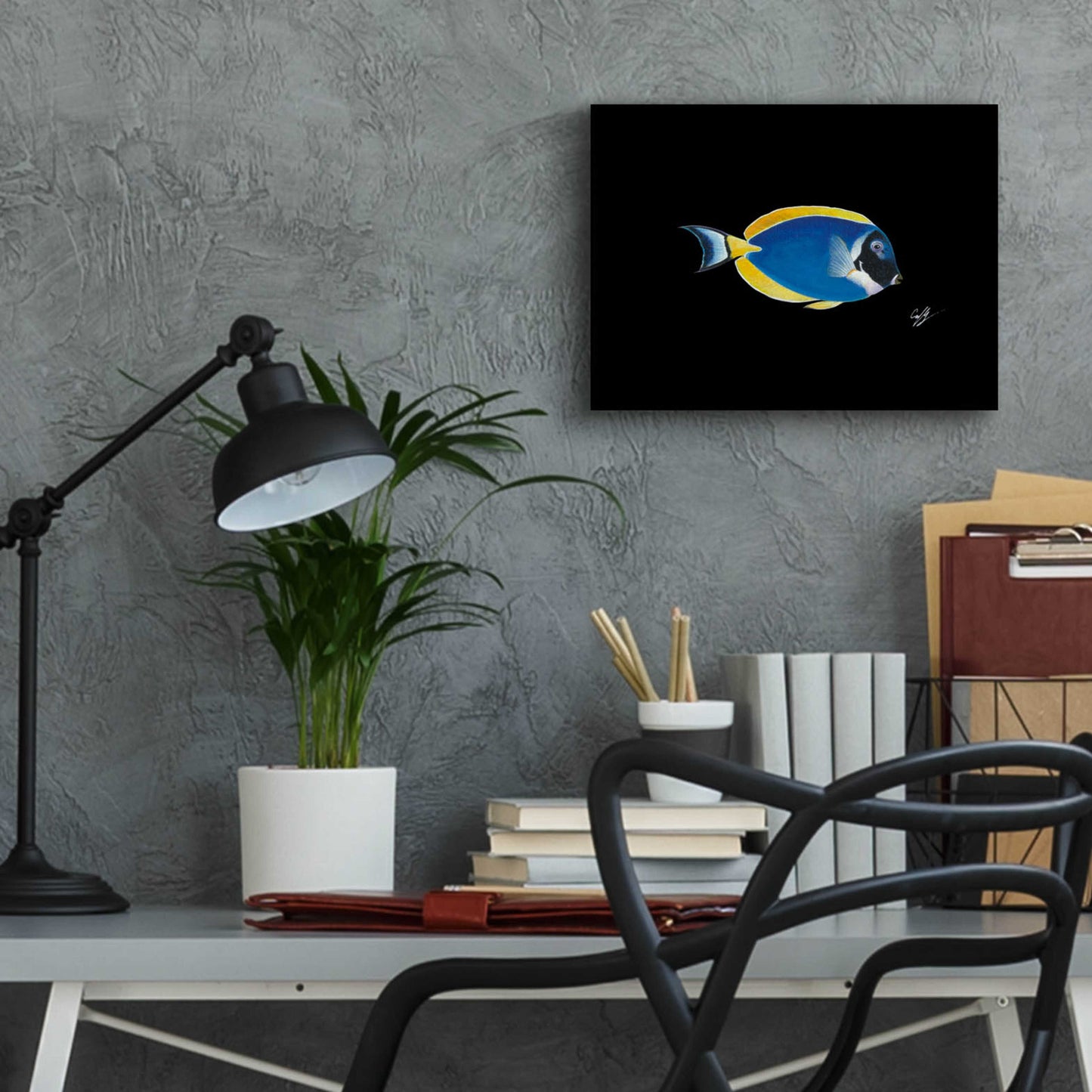 Epic Art 'Powder Blue Tang on Black' by Durwood Coffey, Acrylic Glass Wall Art,16x12