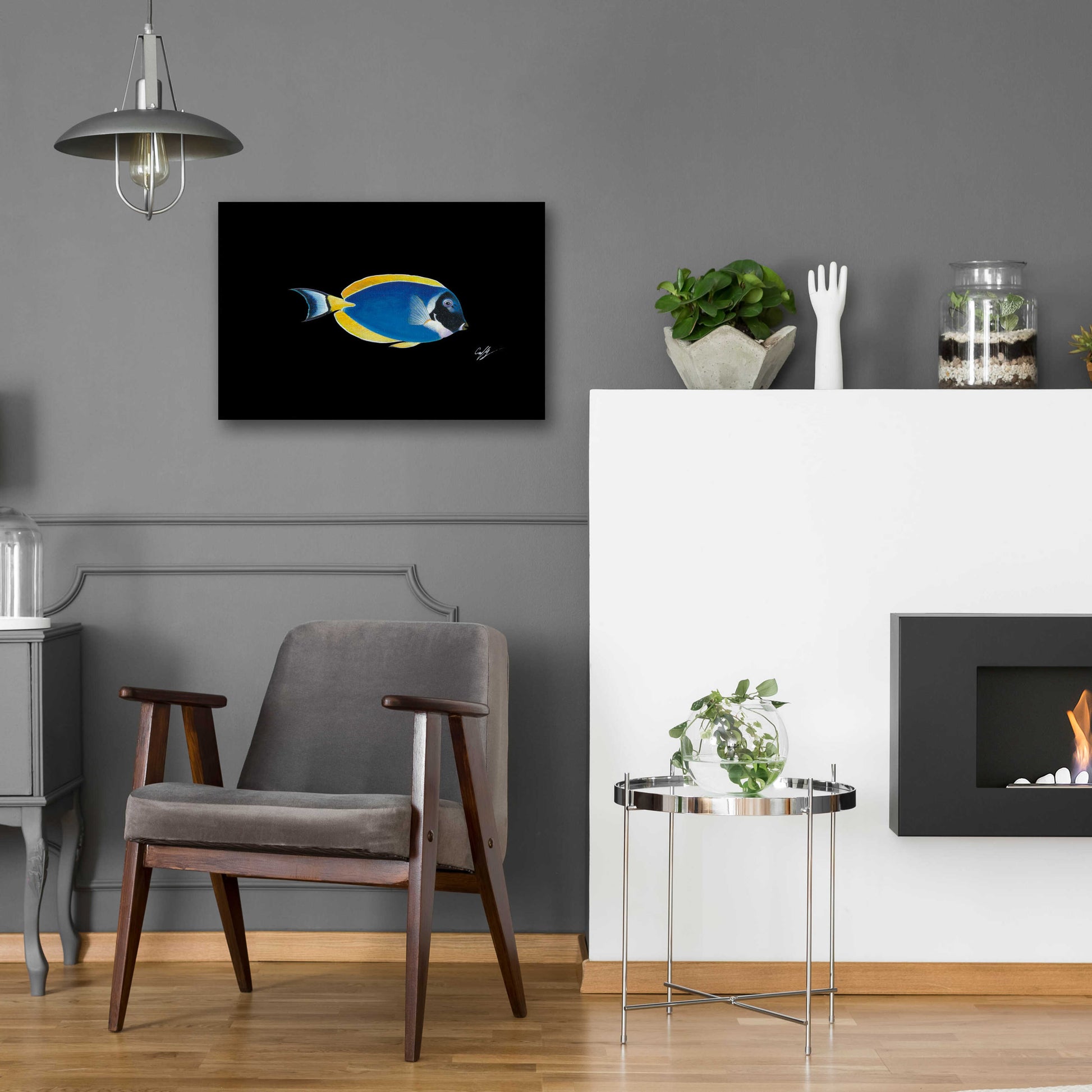 Epic Art 'Powder Blue Tang on Black' by Durwood Coffey, Acrylic Glass Wall Art,24x16