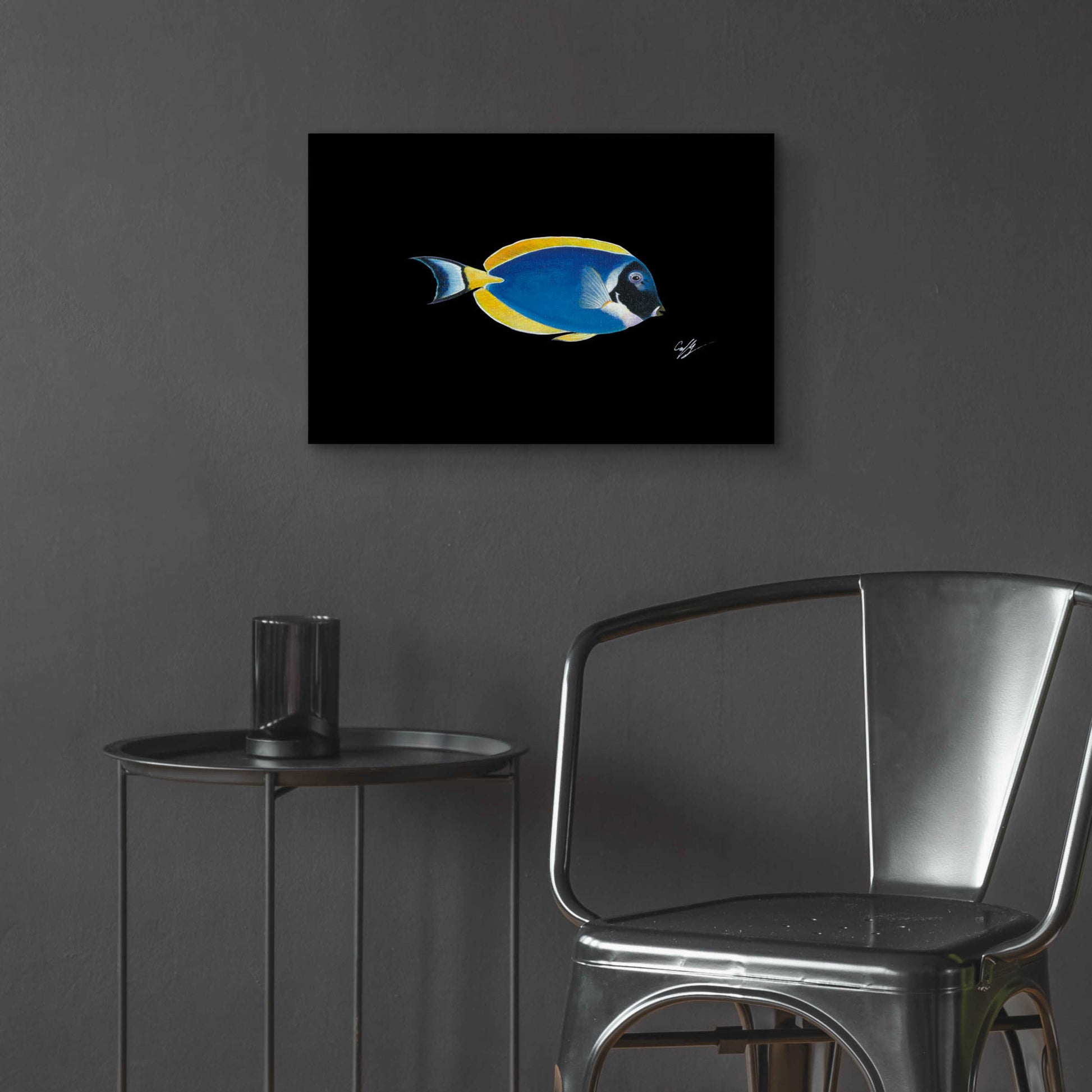 Epic Art 'Powder Blue Tang on Black' by Durwood Coffey, Acrylic Glass Wall Art,24x16