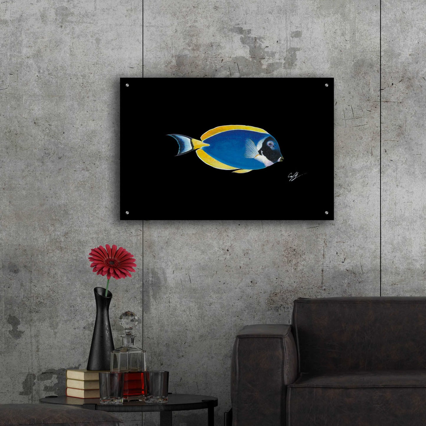 Epic Art 'Powder Blue Tang on Black' by Durwood Coffey, Acrylic Glass Wall Art,36x24