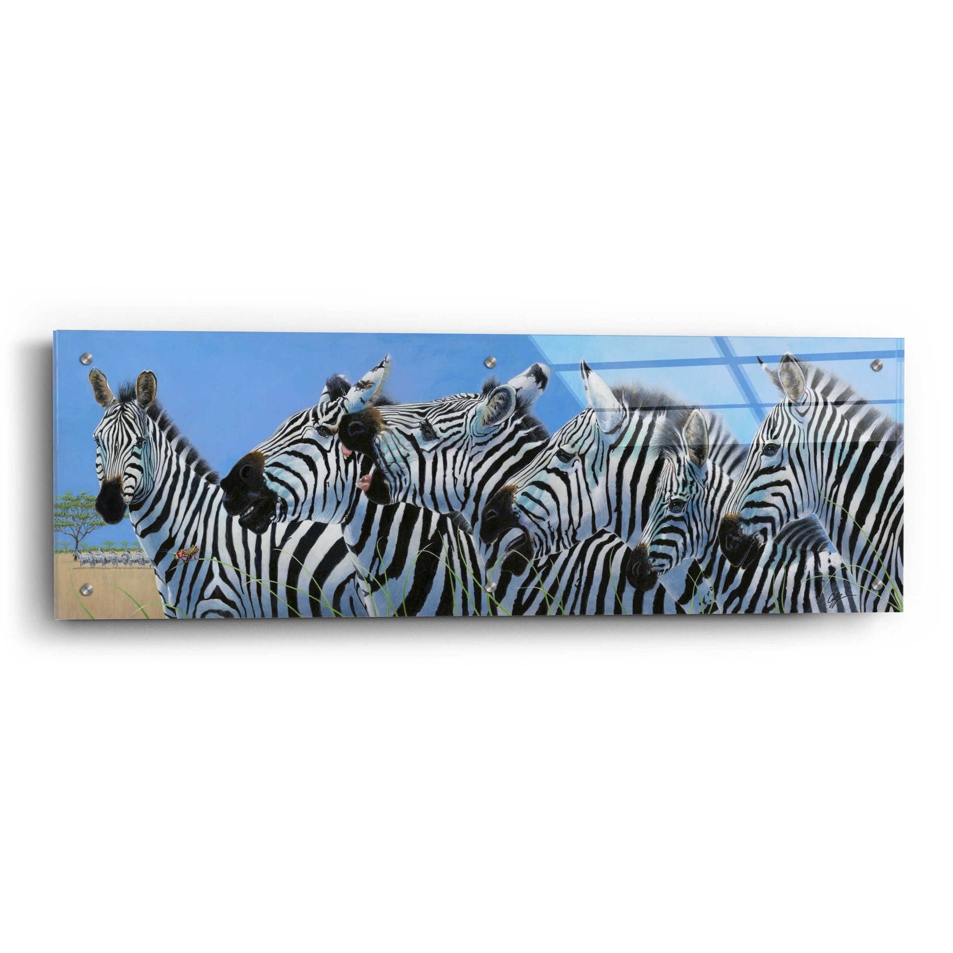 Epic Art 'Serengeti Serenade Zebras' by Durwood Coffey, Acrylic Glass Wall Art,36x12