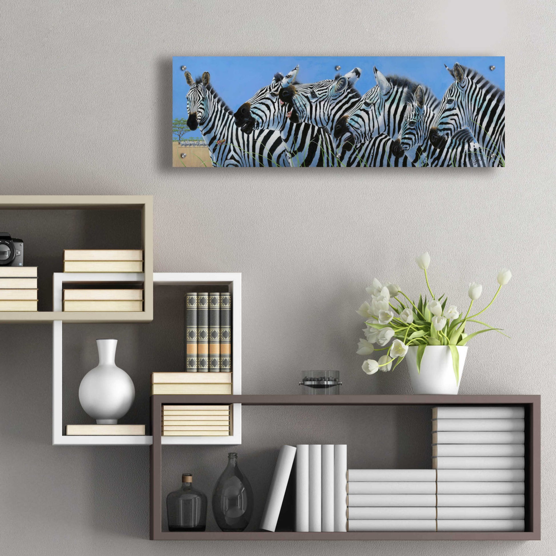 Epic Art 'Serengeti Serenade Zebras' by Durwood Coffey, Acrylic Glass Wall Art,36x12