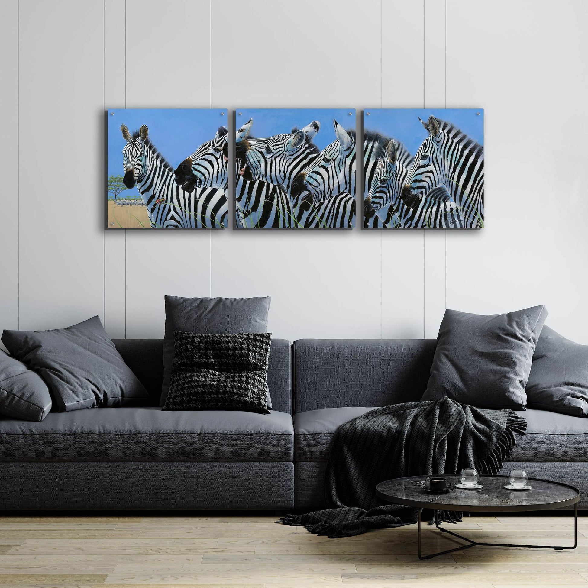 Epic Art 'Serengeti Serenade Zebras' by Durwood Coffey, Acrylic Glass Wall Art, 3 Piece Set,72x24