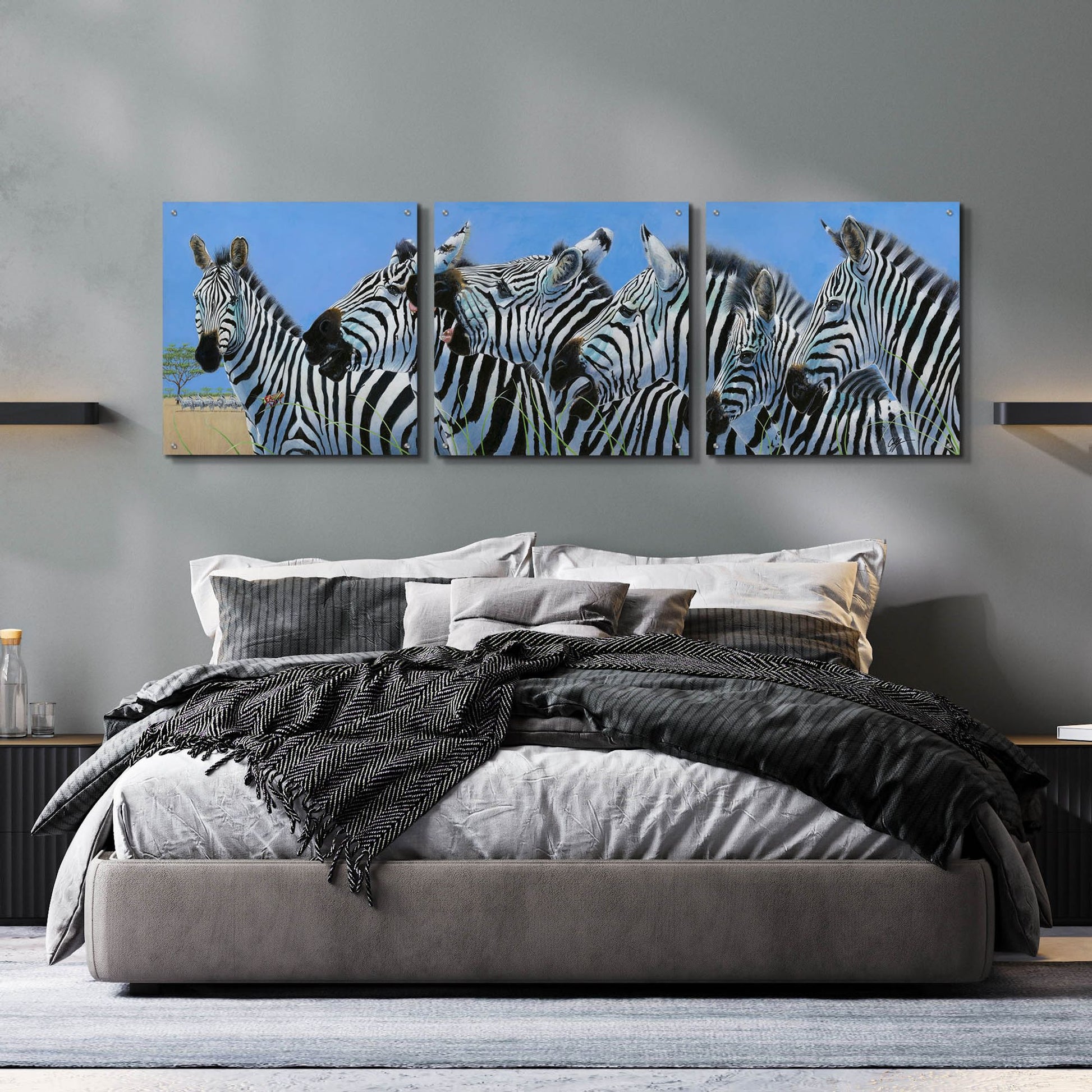 Epic Art 'Serengeti Serenade Zebras' by Durwood Coffey, Acrylic Glass Wall Art, 3 Piece Set,72x24