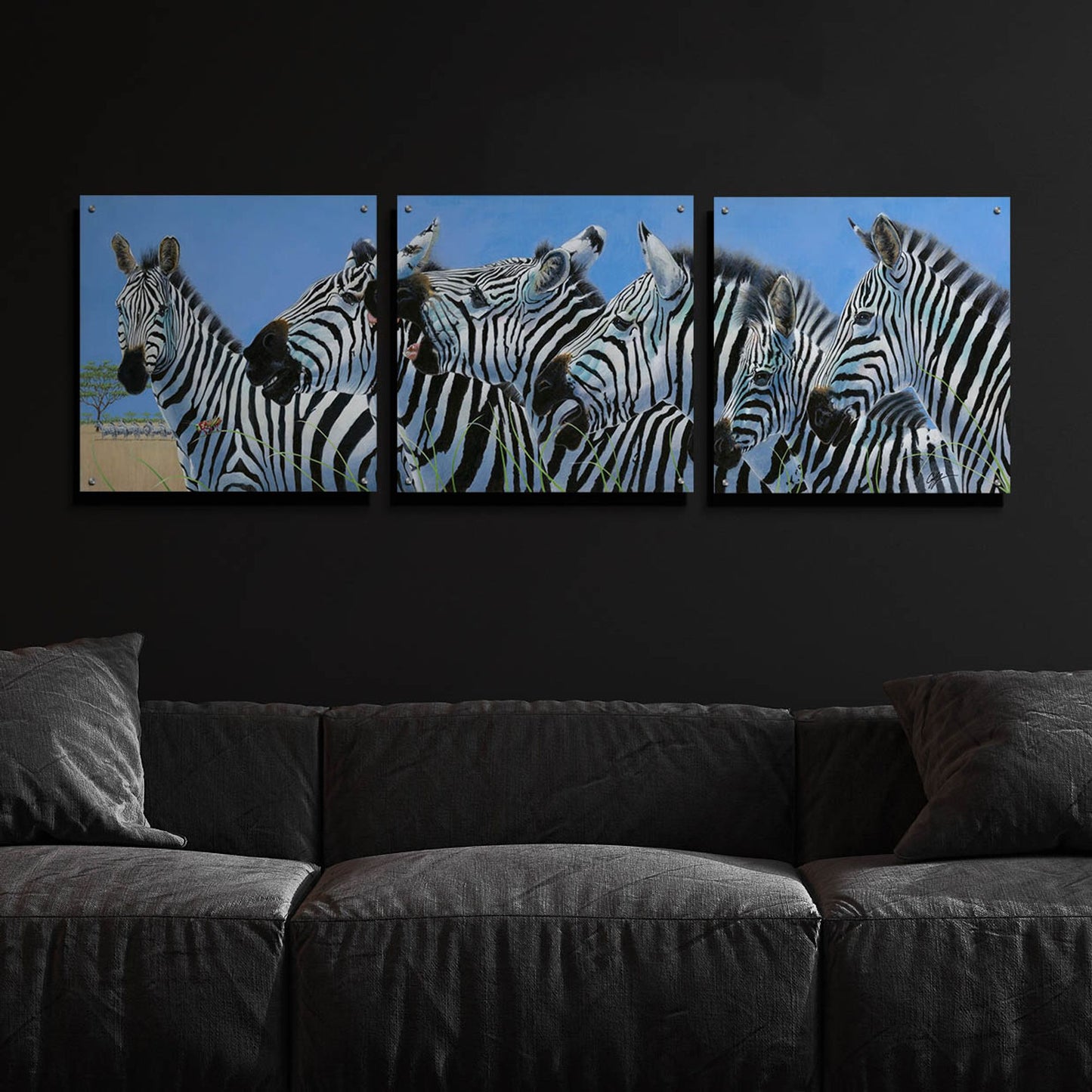 Epic Art 'Serengeti Serenade Zebras' by Durwood Coffey, Acrylic Glass Wall Art, 3 Piece Set,72x24