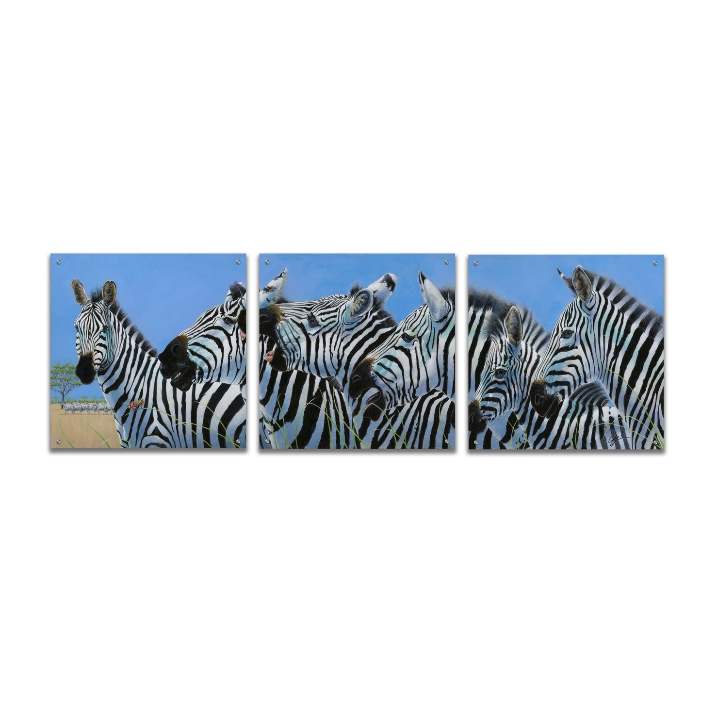 Epic Art 'Serengeti Serenade Zebras' by Durwood Coffey, Acrylic Glass Wall Art, 3 Piece Set