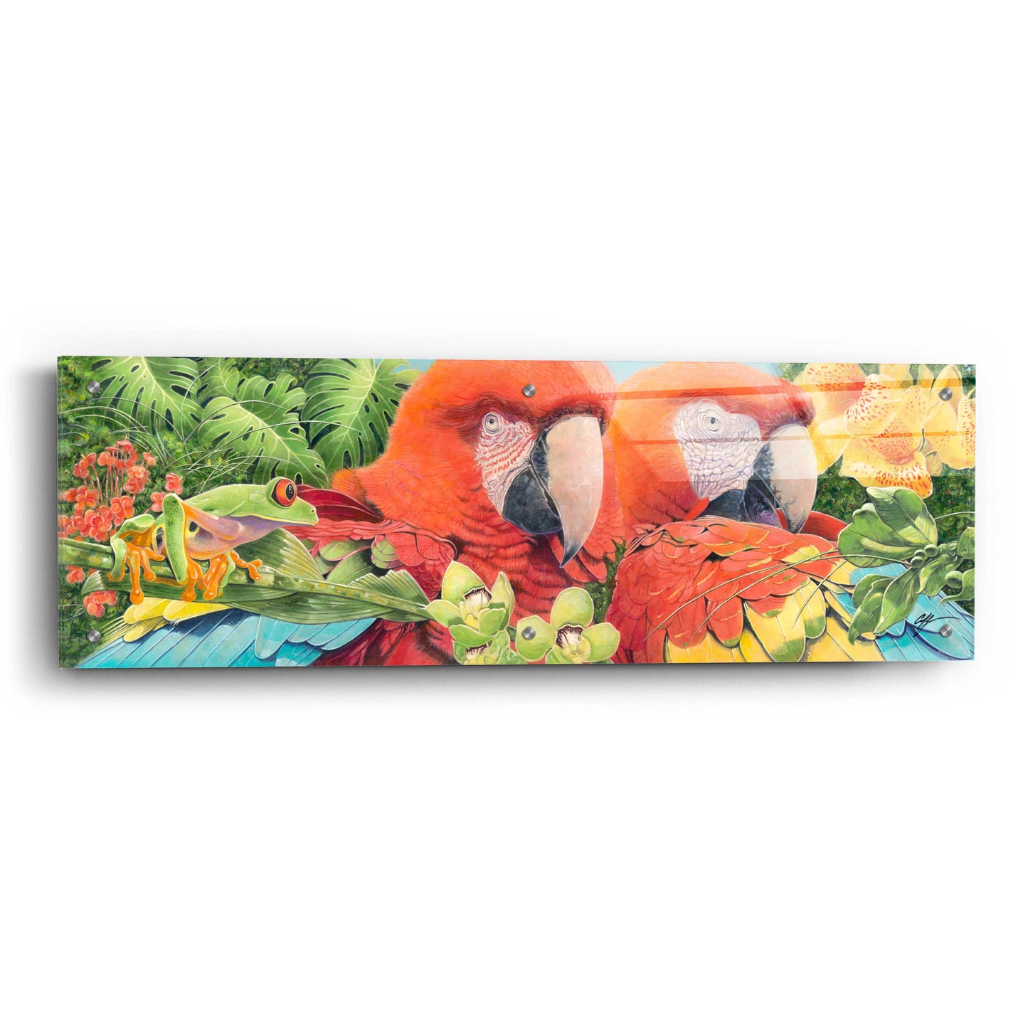 Epic Art 'Scarlet Macaws' by Durwood Coffey, Acrylic Glass Wall Art,36x12