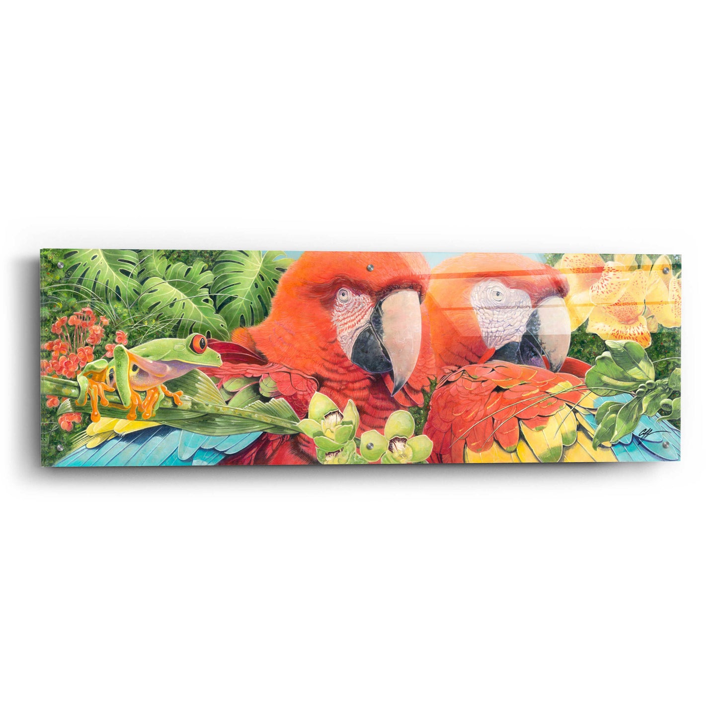 Epic Art 'Scarlet Macaws' by Durwood Coffey, Acrylic Glass Wall Art,48x16