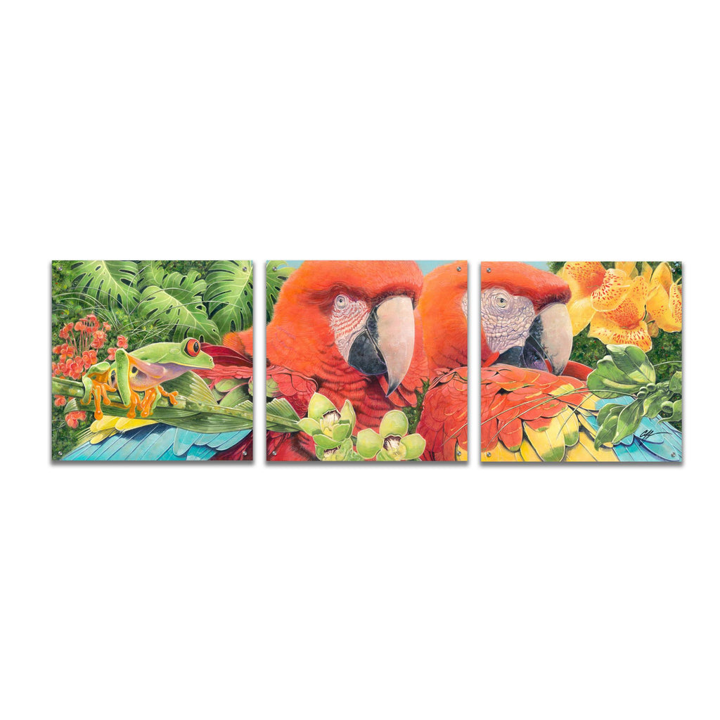 Epic Art 'Scarlet Macaws' by Durwood Coffey, Acrylic Glass Wall Art, 3 Piece Set