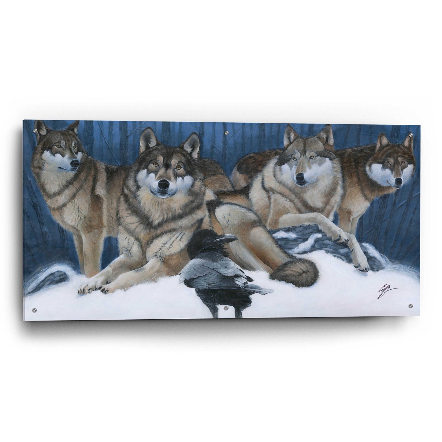 Epic Art 'The Messenger' by Durwood Coffey, Acrylic Glass Wall Art,48x24