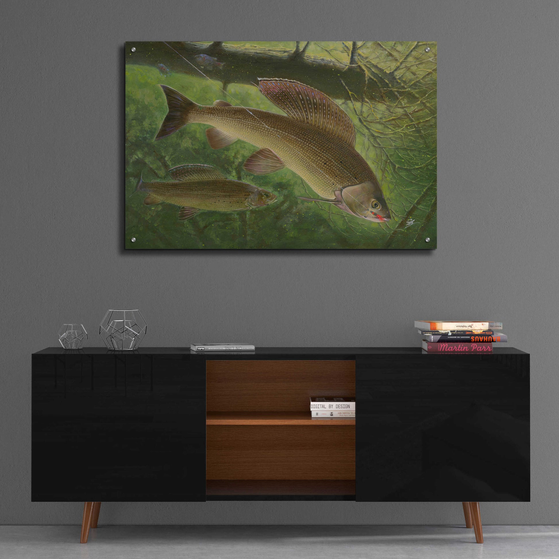 Epic Art 'Grayling Fish' by Durwood Coffey, Acrylic Glass Wall Art,36x24