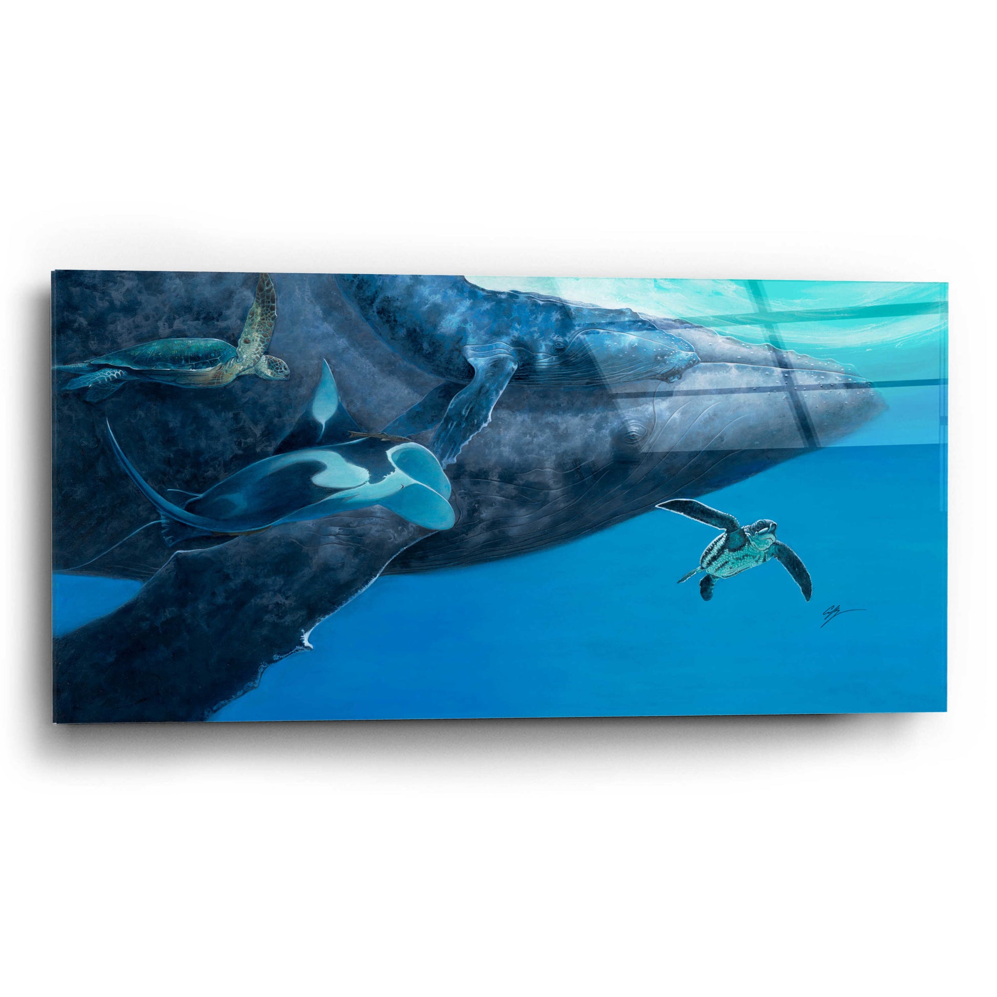 Epic Art 'Swimming with Giants' by Durwood Coffey, Acrylic Glass Wall Art,24x12