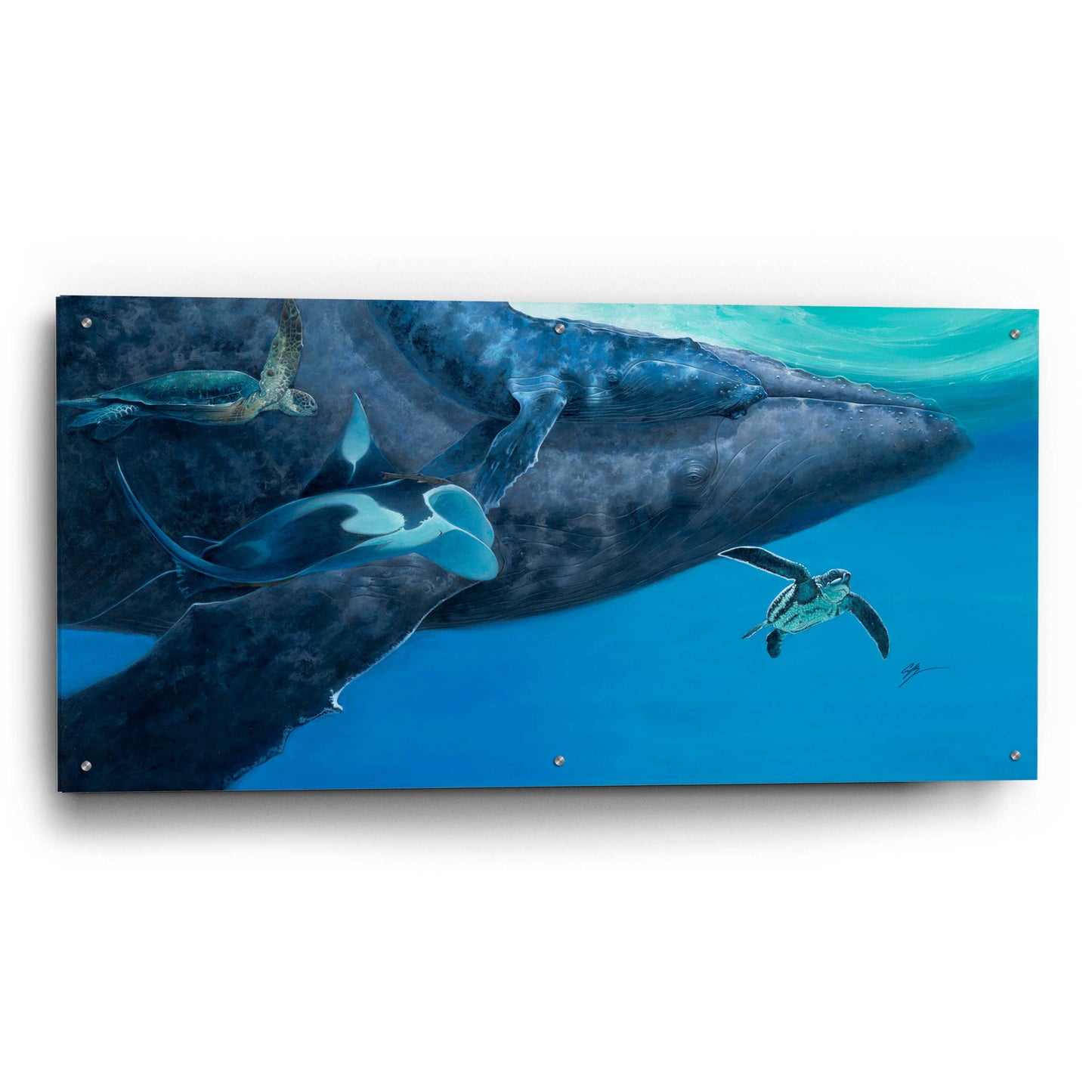 Epic Art 'Swimming with Giants' by Durwood Coffey, Acrylic Glass Wall Art,48x24