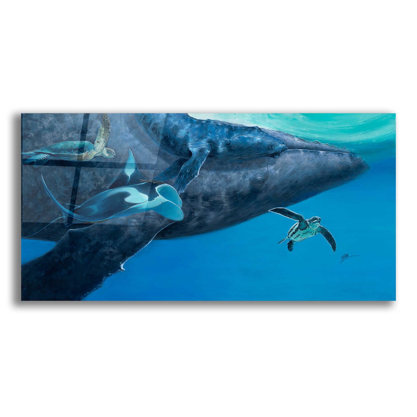 Epic Art 'Swimming with Giants' by Durwood Coffey, Acrylic Glass Wall Art