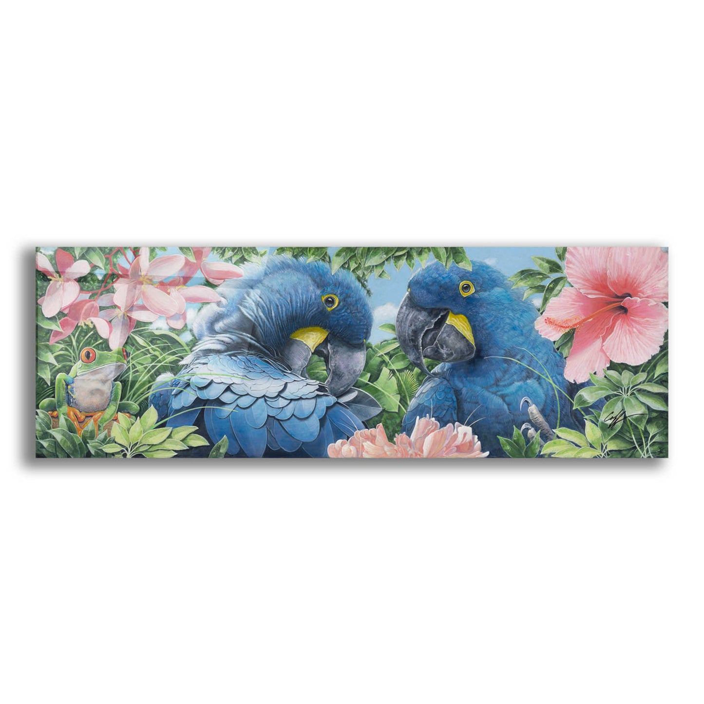 Epic Art 'Blue Macaws' by Durwood Coffey, Acrylic Glass Wall Art