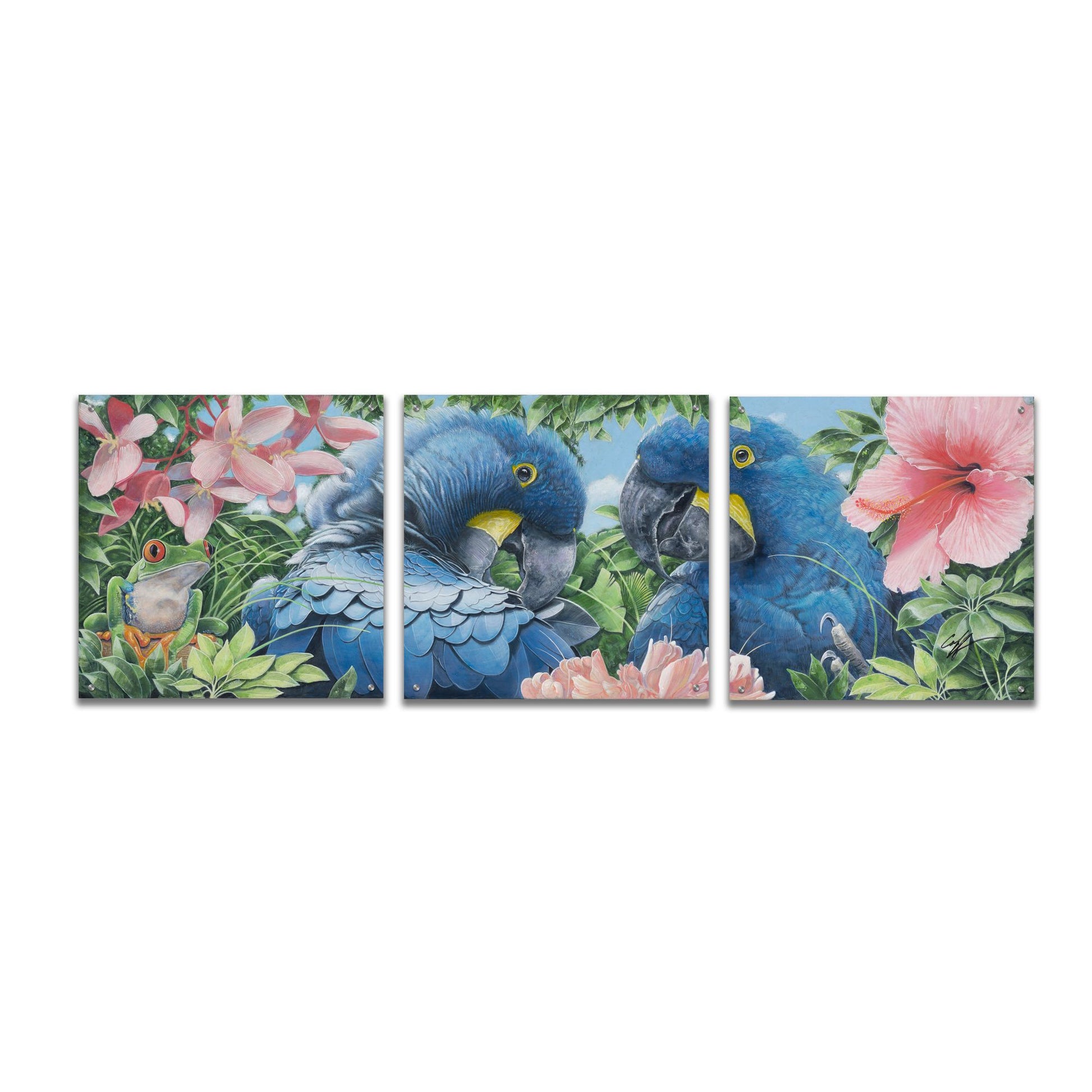 Epic Art 'Blue Macaws' by Durwood Coffey, Acrylic Glass Wall Art, 3 Piece Set