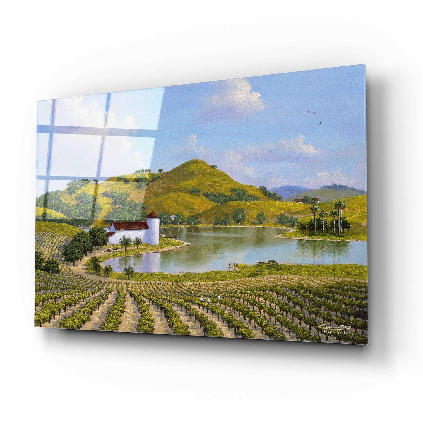 Epic Art 'Napa Valley' by Eduardo Camoes, Acrylic Glass Wall Art,16x12