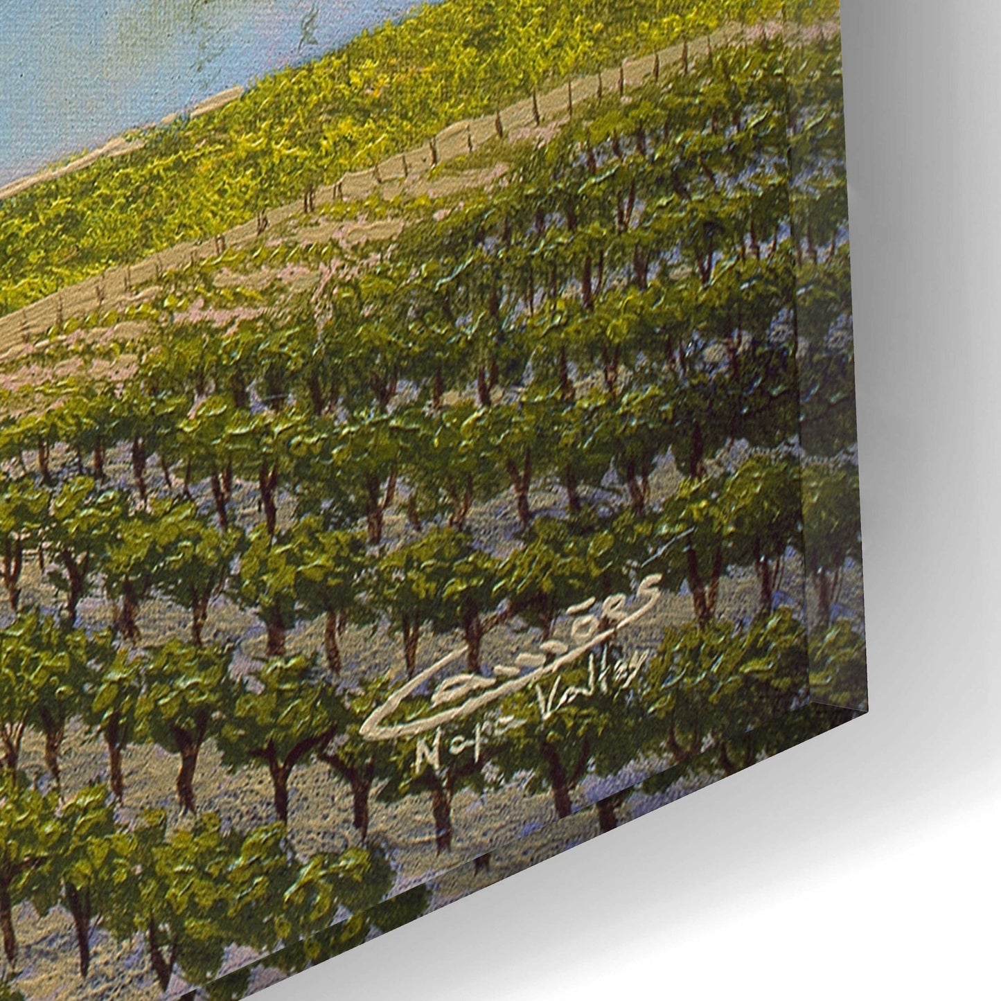 Epic Art 'Napa Valley' by Eduardo Camoes, Acrylic Glass Wall Art,16x12