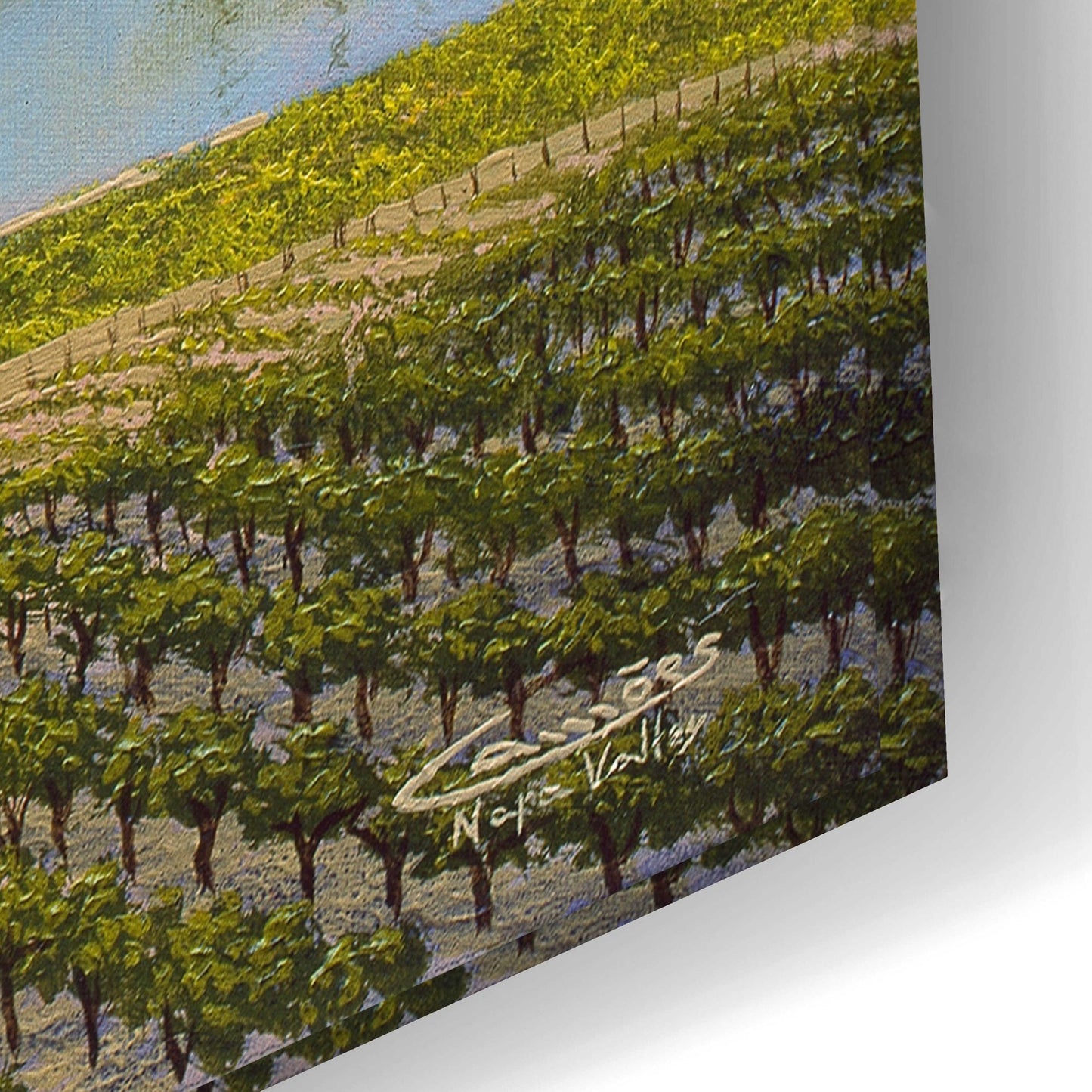 Epic Art 'Napa Valley' by Eduardo Camoes, Acrylic Glass Wall Art,24x16