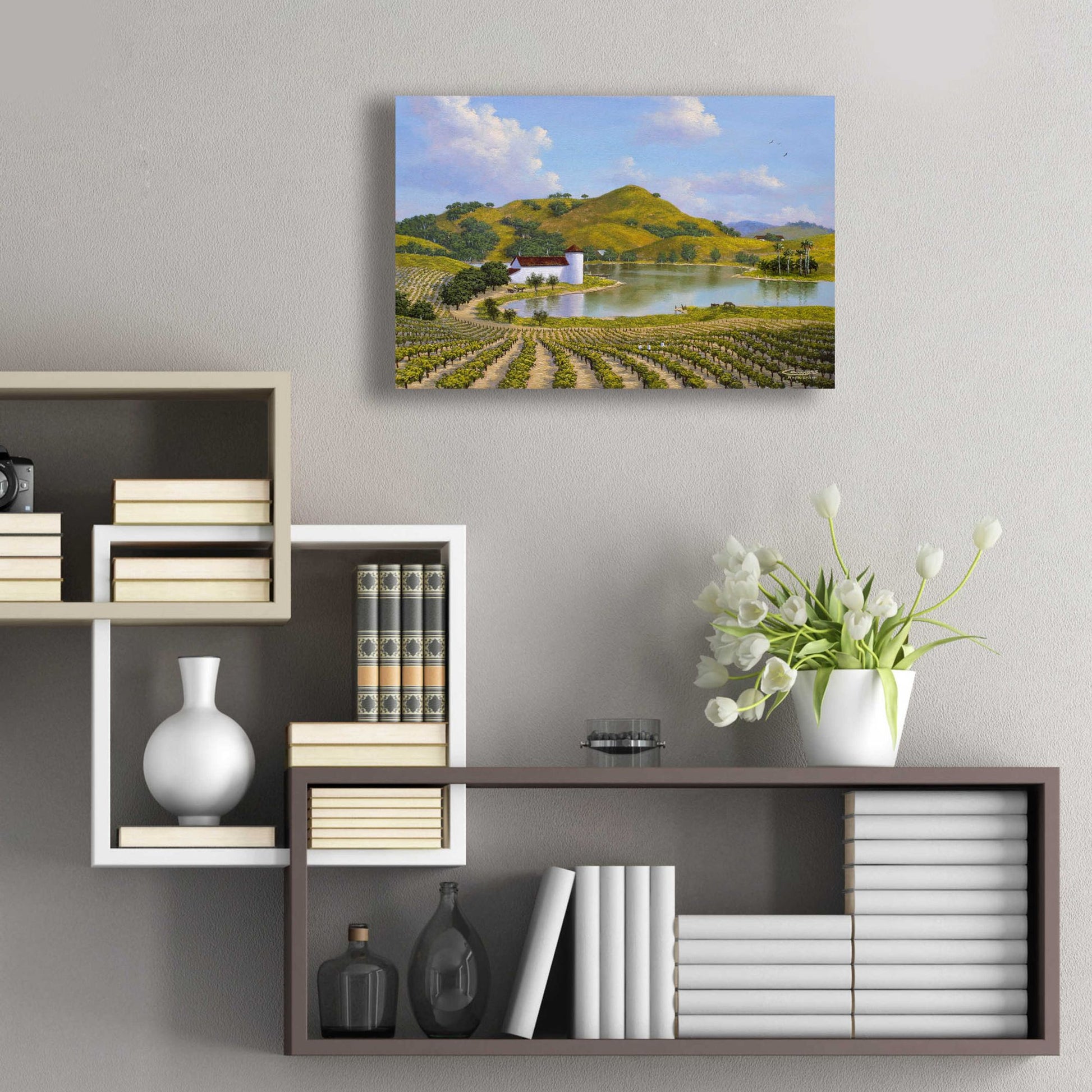 Epic Art 'Napa Valley' by Eduardo Camoes, Acrylic Glass Wall Art,24x16