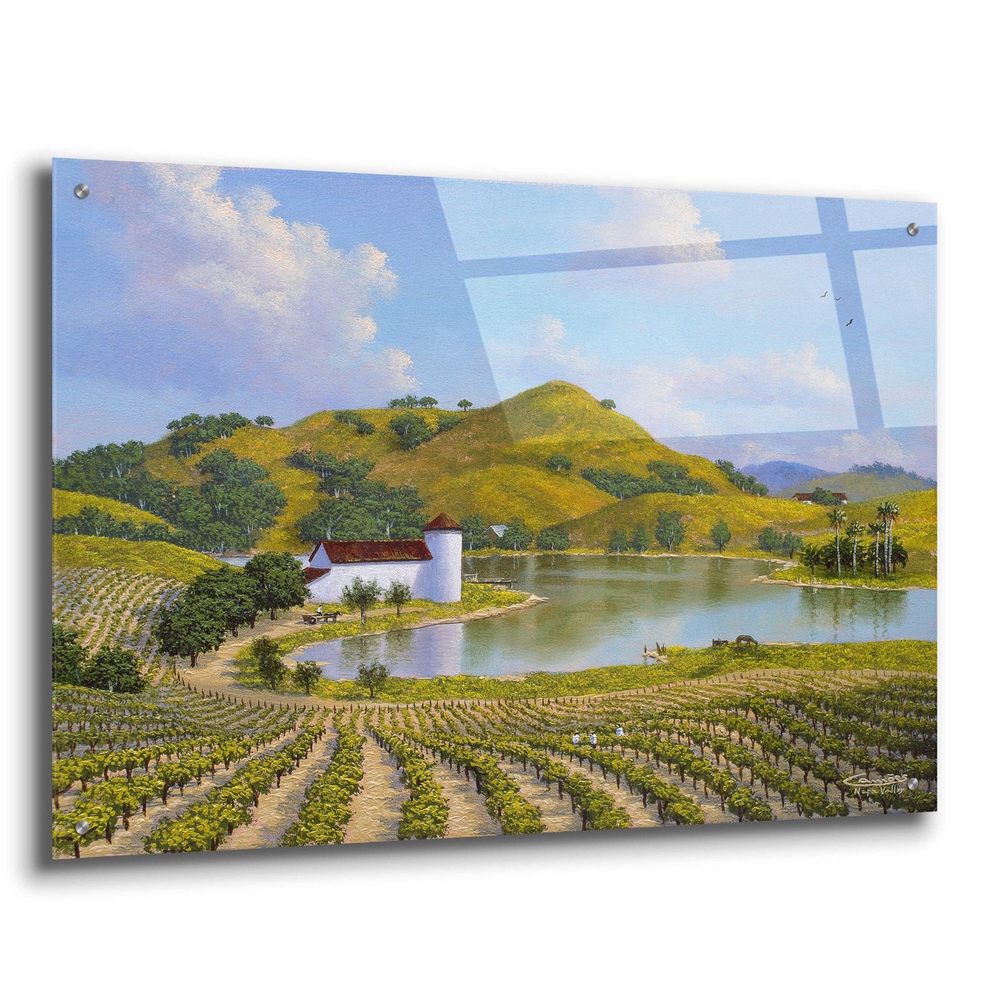 Epic Art 'Napa Valley' by Eduardo Camoes, Acrylic Glass Wall Art,36x24